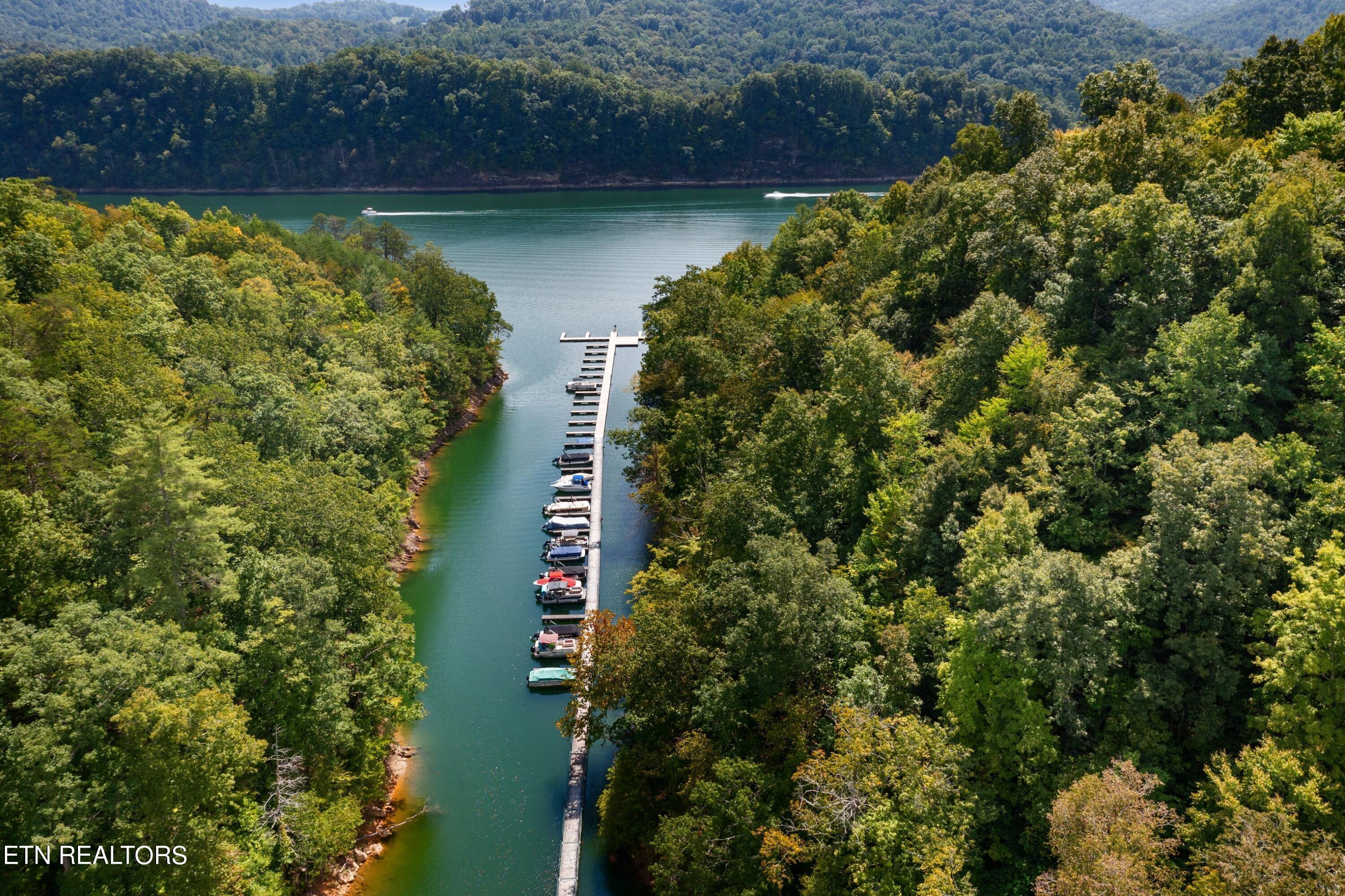 Norris Lake Real Estate - Image# 12