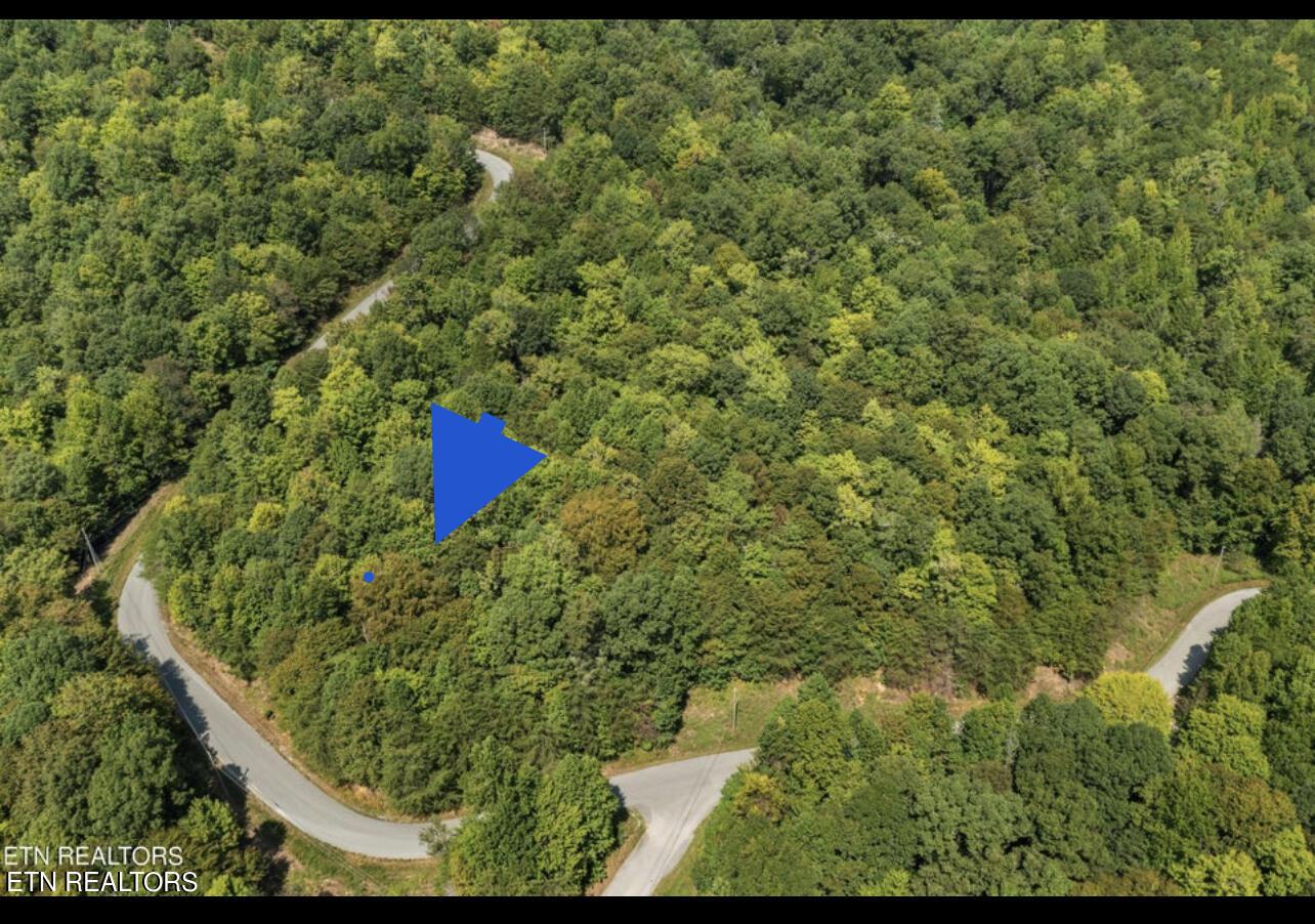 Norris Lake Real Estate - Image# 3