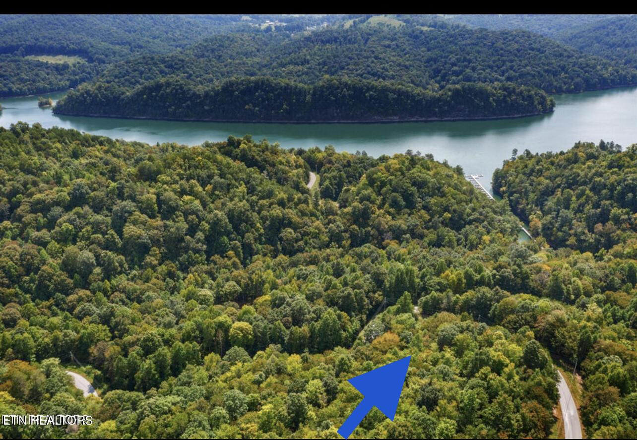 Norris Lake Real Estate - Image# 13