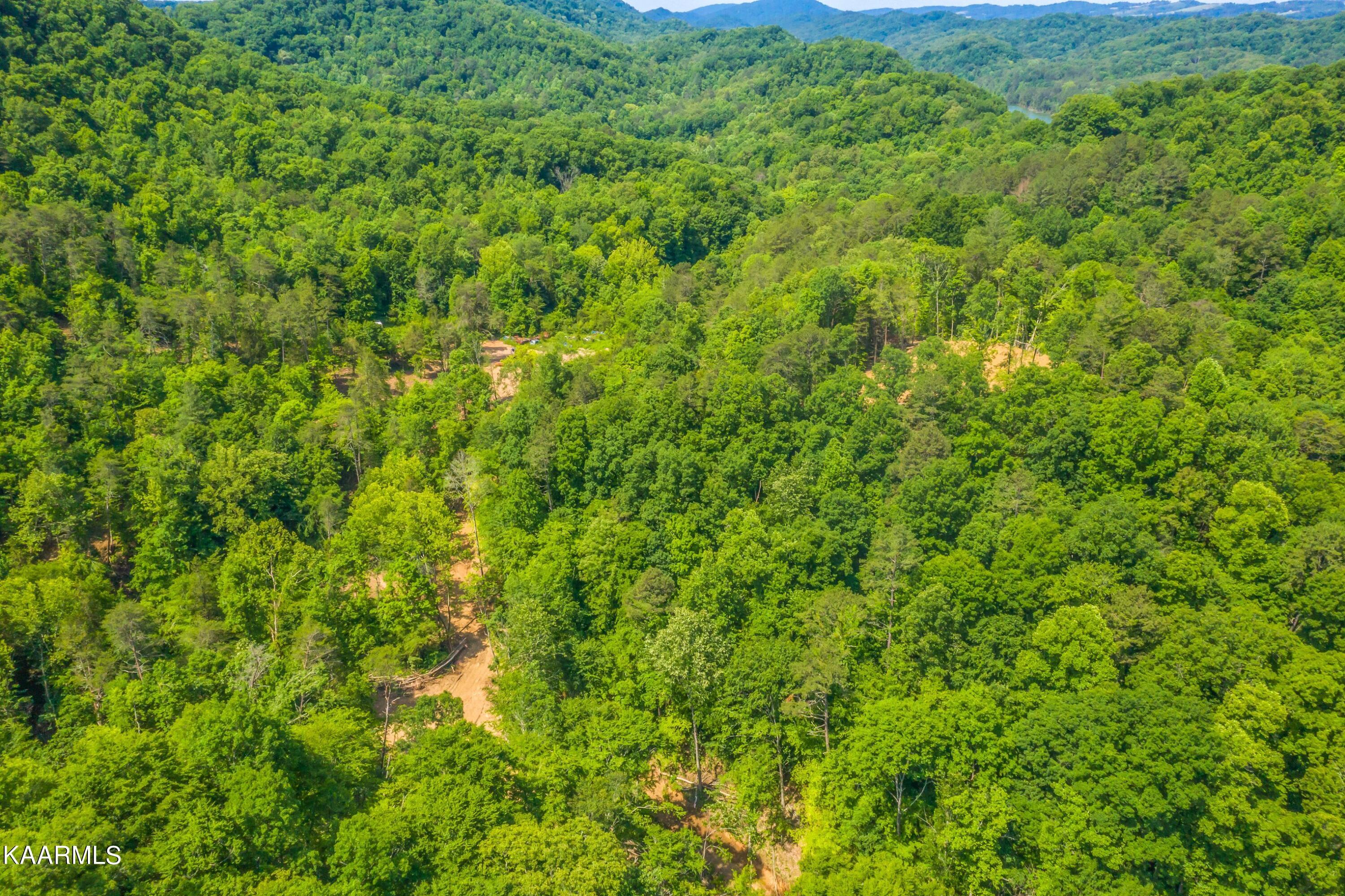 Norris Lake Real Estate - Image# 19