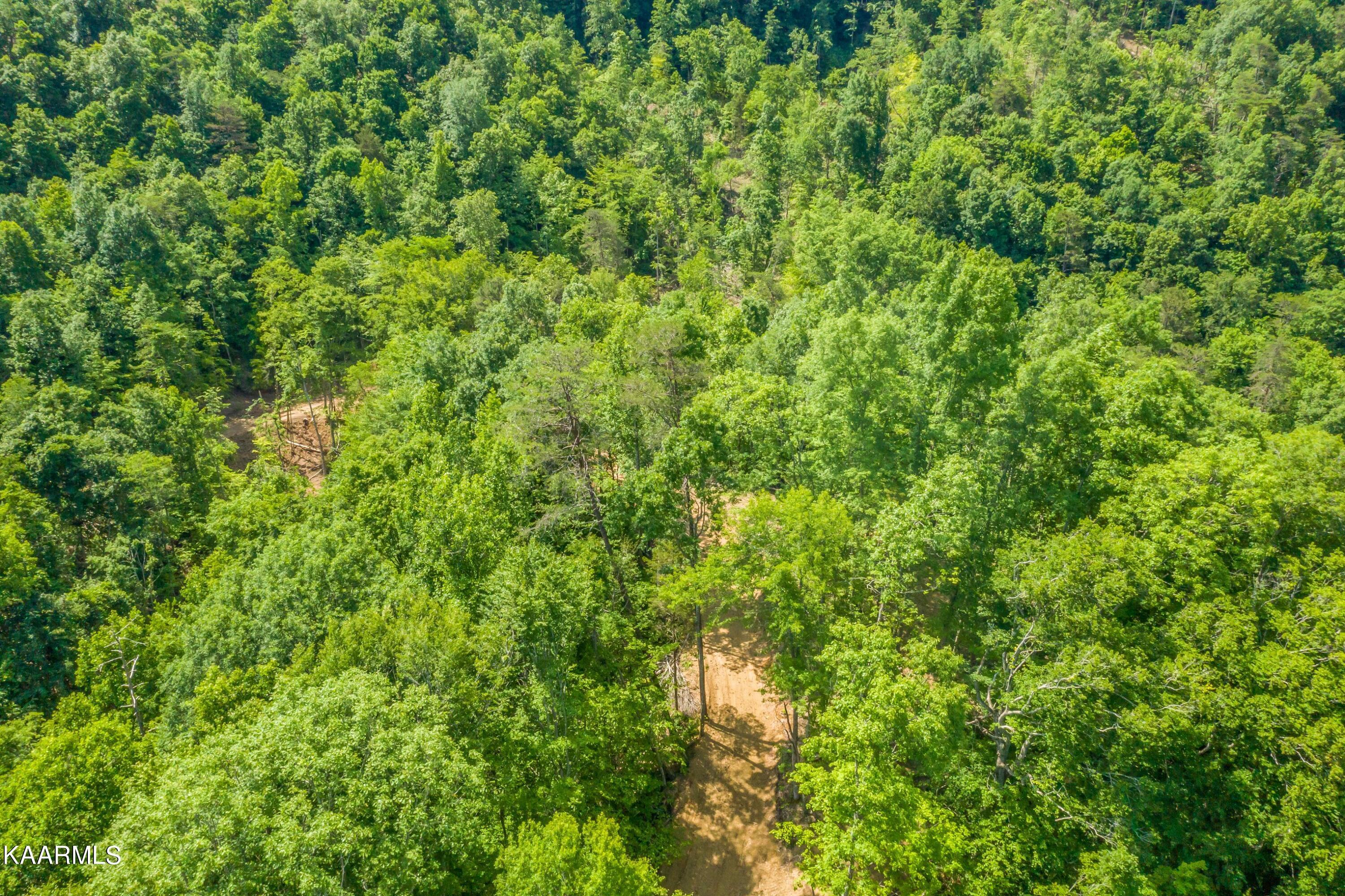 Norris Lake Real Estate - Image# 6