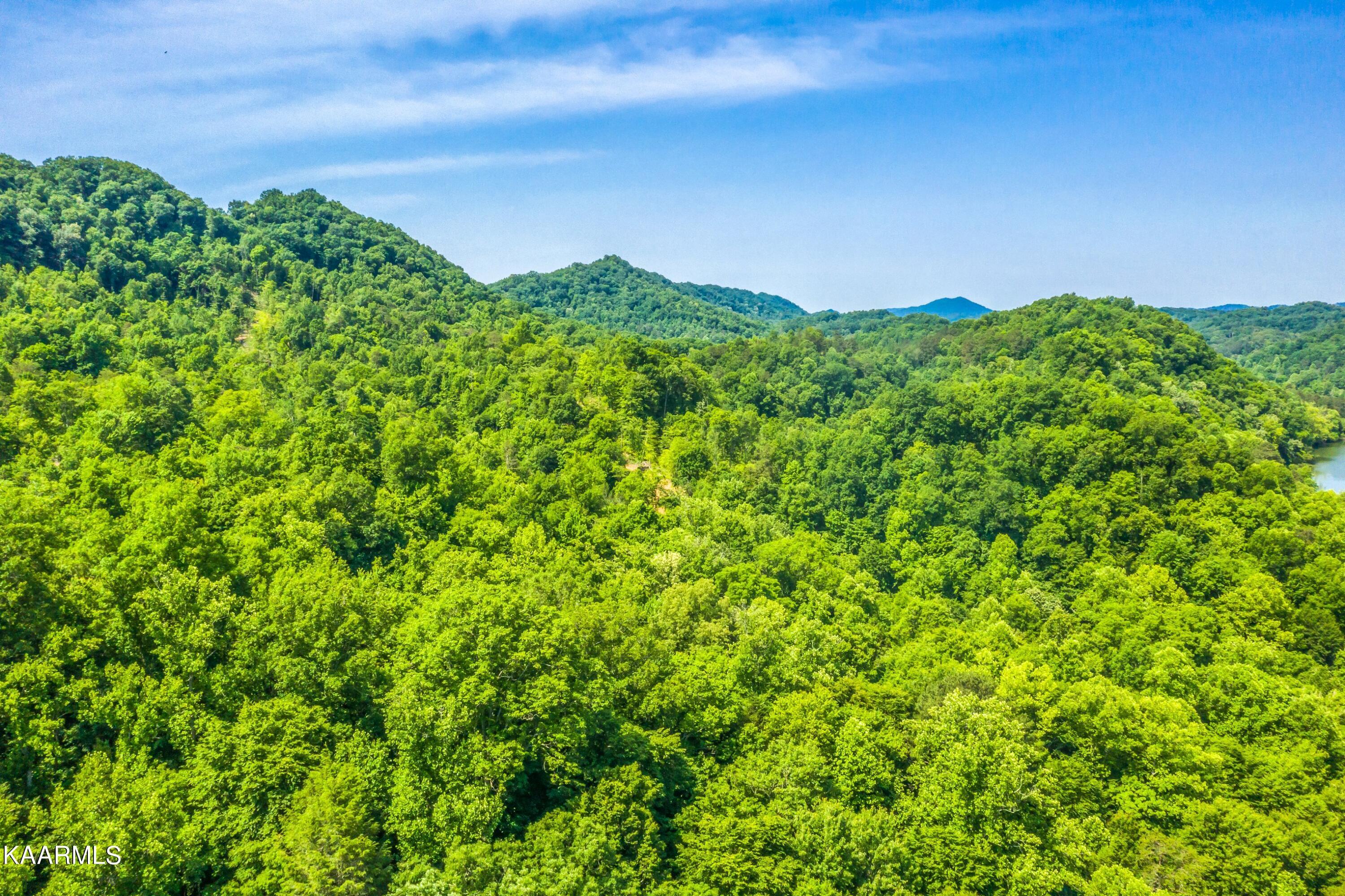 Norris Lake Real Estate - Image# 7