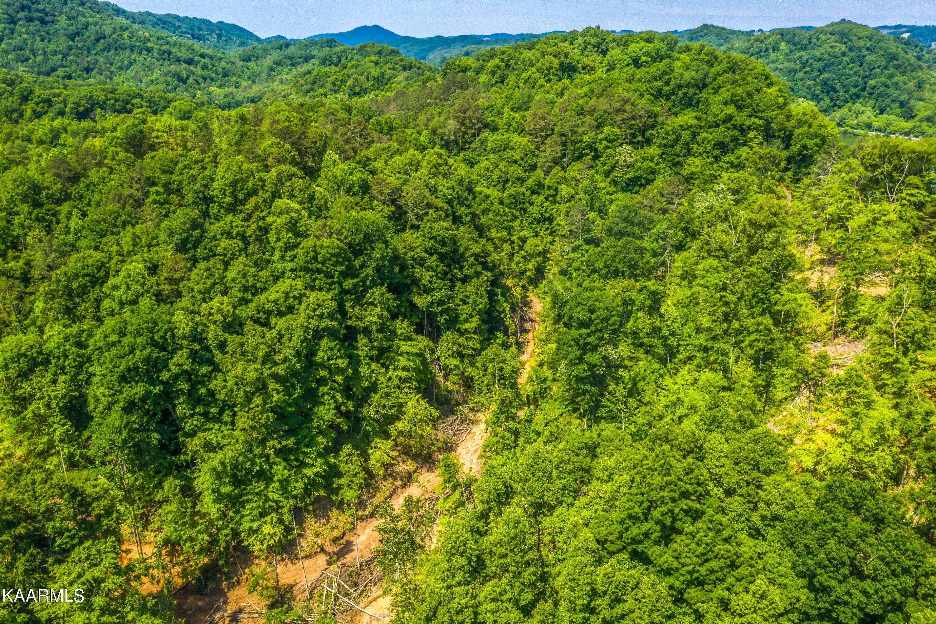 Norris Lake Real Estate - Image# 8