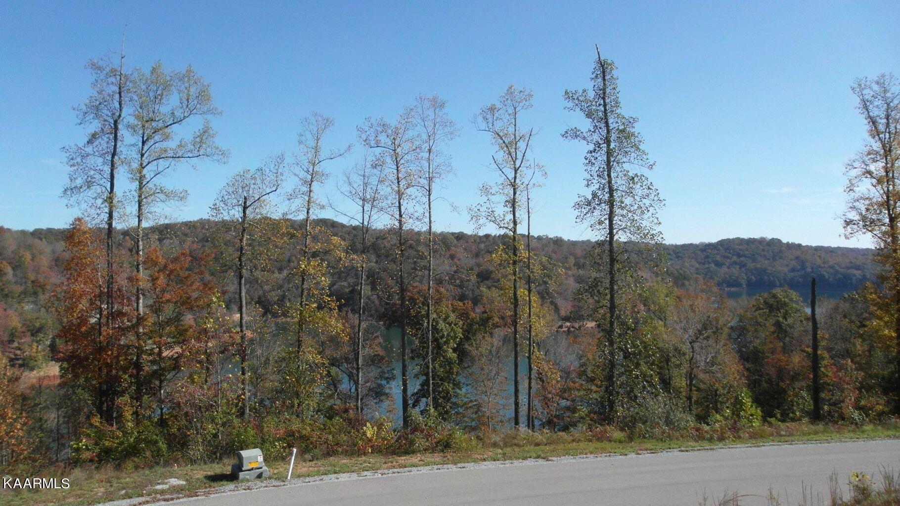 Norris Lake Real Estate - Image# 2