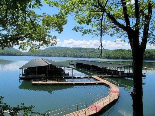 Norris Lake Real Estate - Image# 3