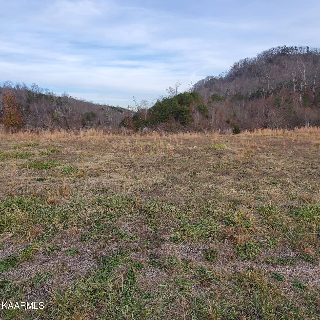 Norris Lake Real Estate - Image# 11