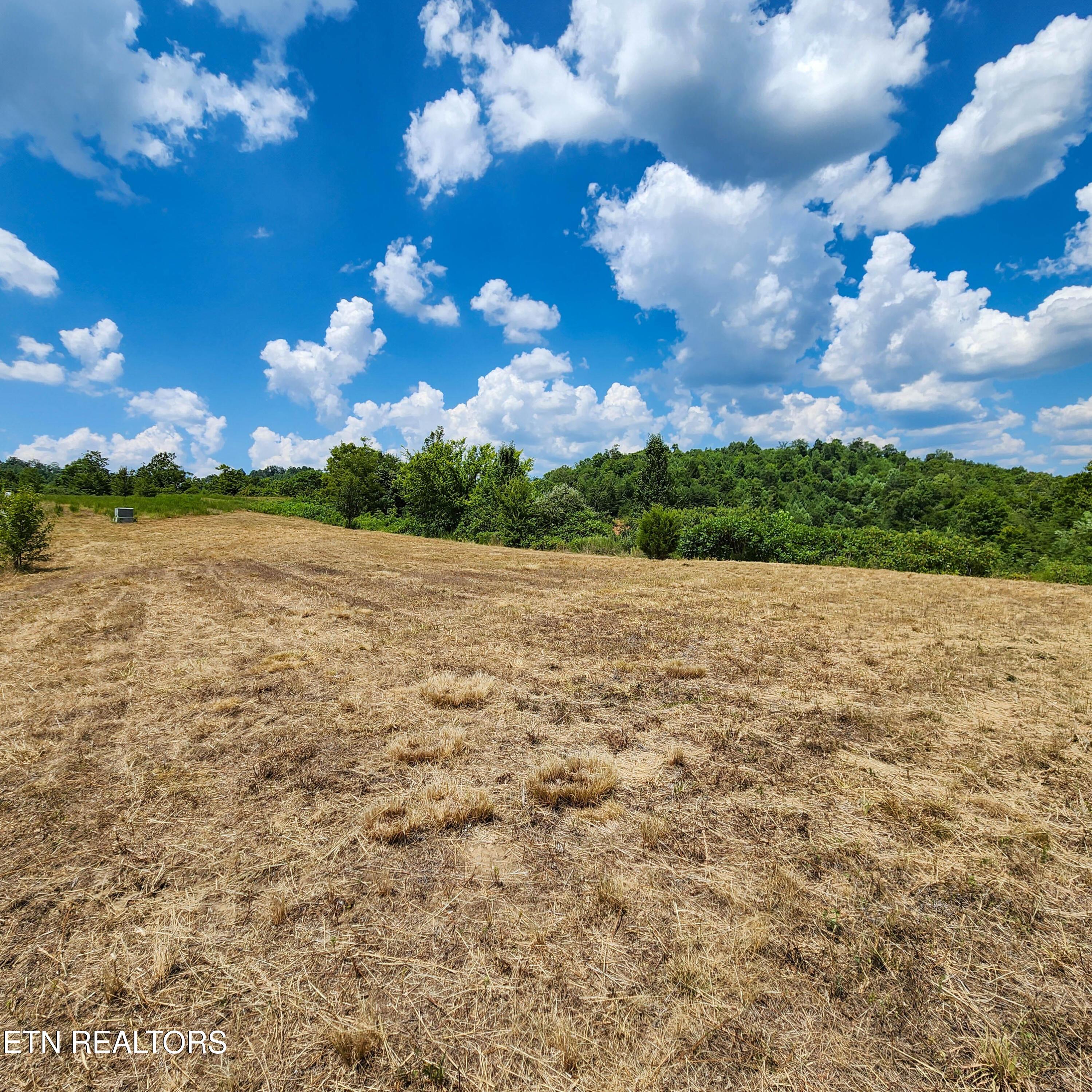 Norris Lake Real Estate - Image# 2