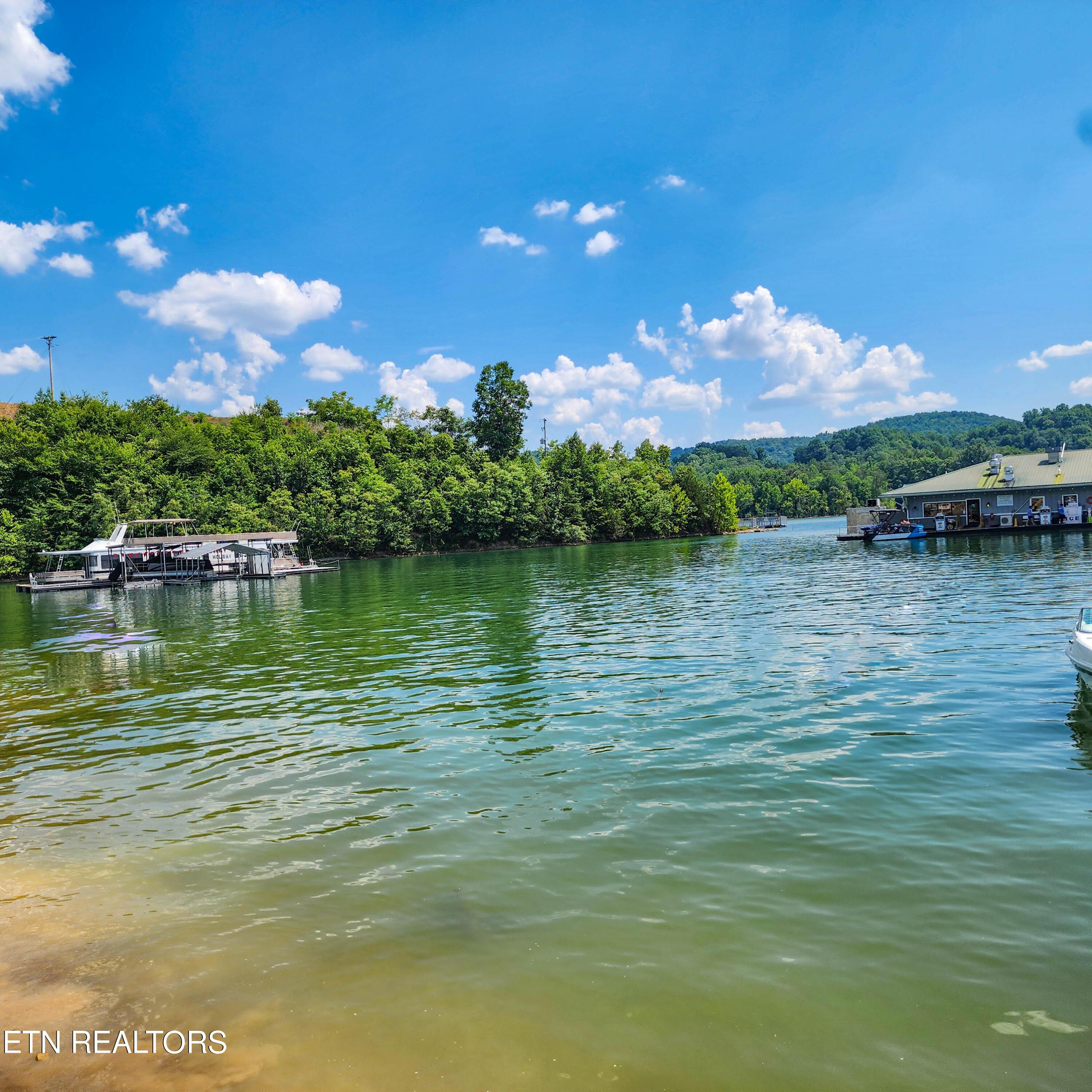 Norris Lake Real Estate - Image# 24