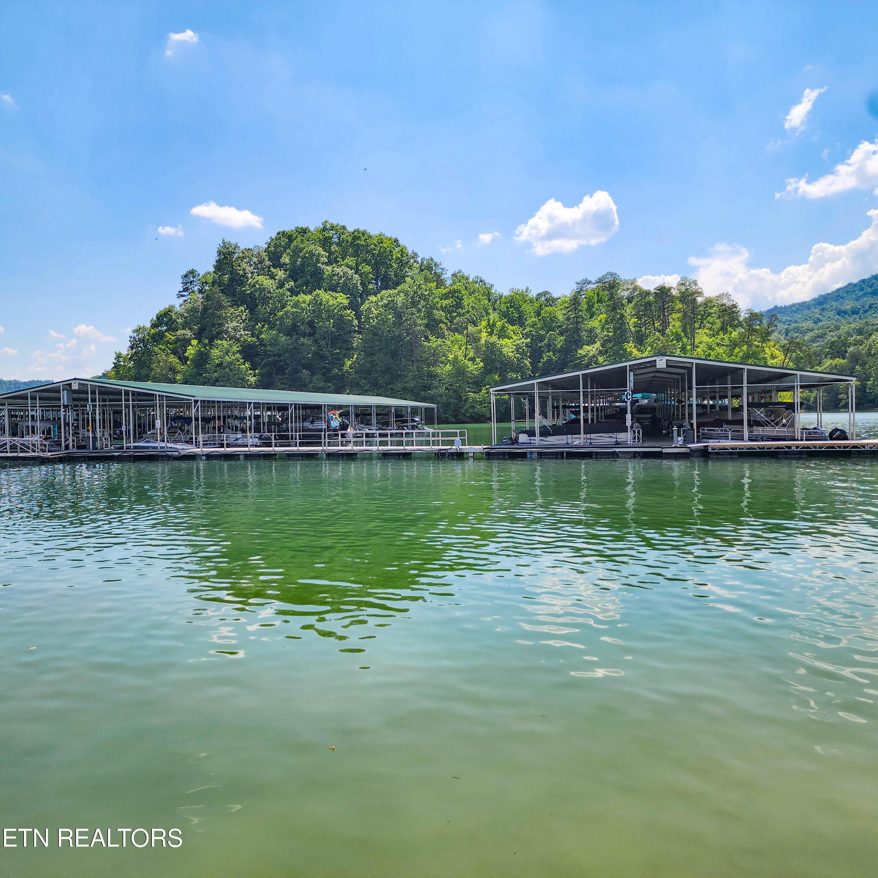 Norris Lake Real Estate - Image# 25