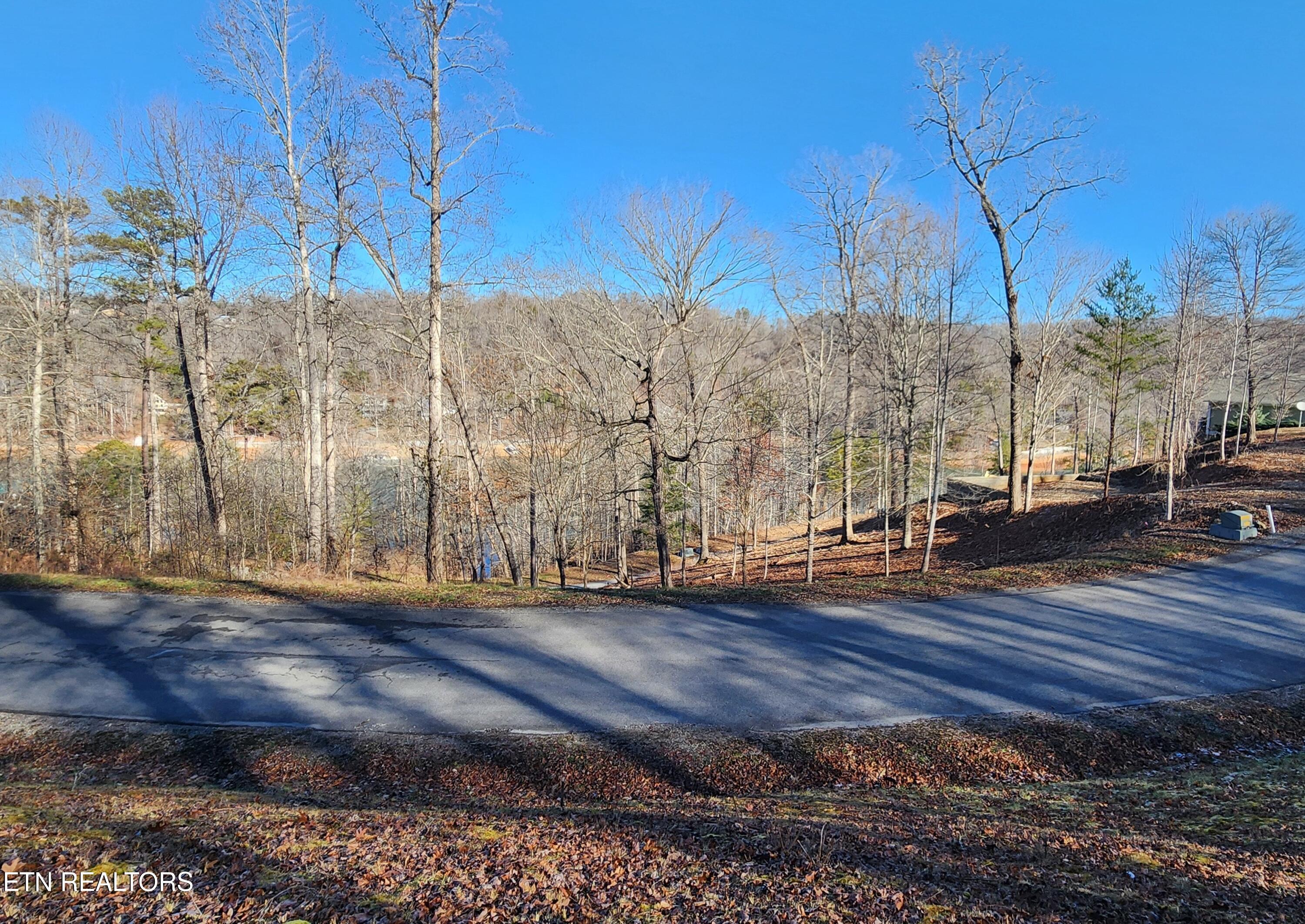 Norris Lake Real Estate - Image# 3