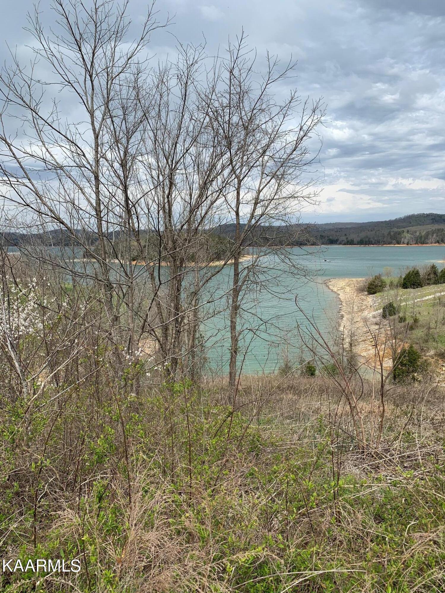 Norris Lake Real Estate - Image# 5