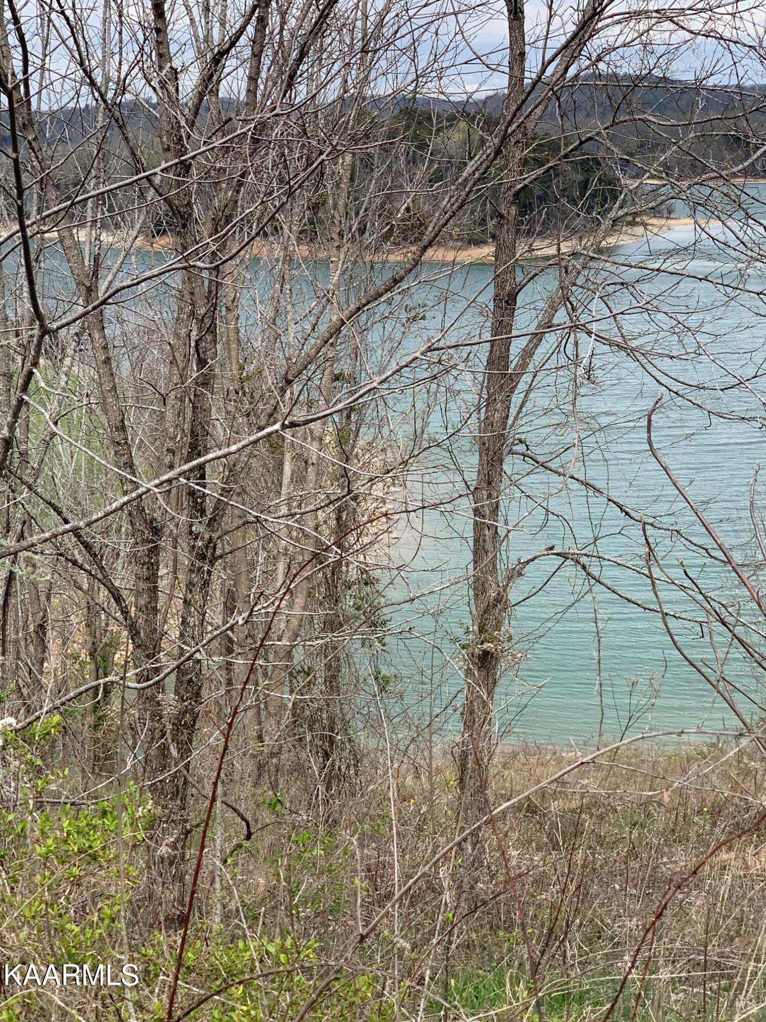 Norris Lake Real Estate - Image# 9