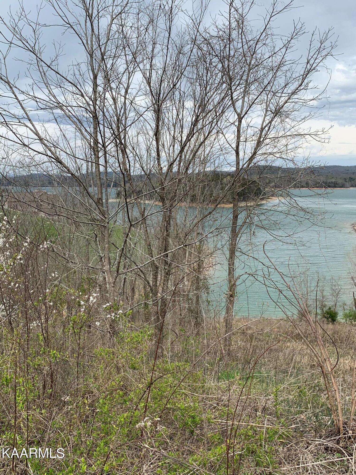 Norris Lake Real Estate - Image# 10