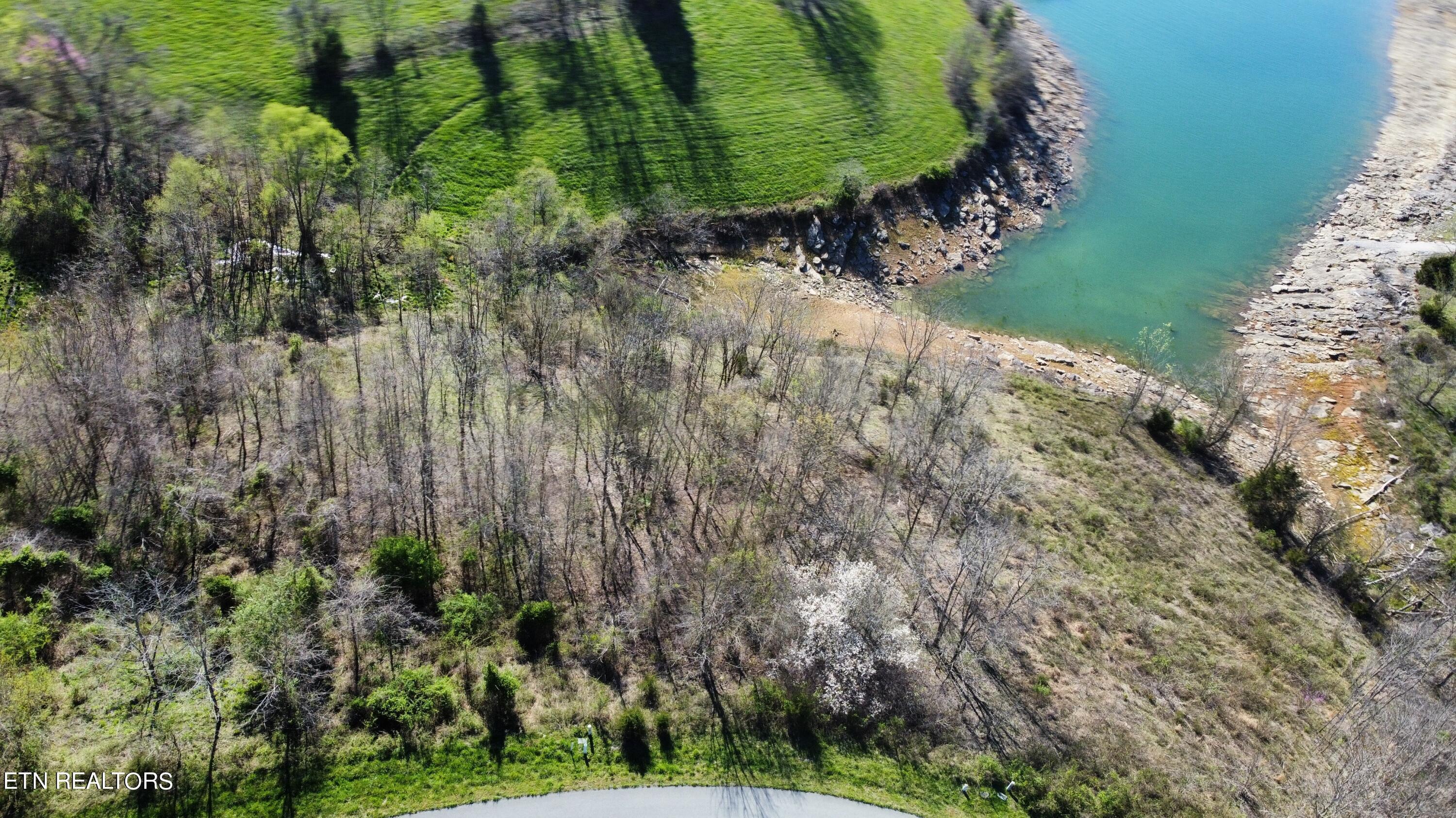 Norris Lake Real Estate - Image# 2