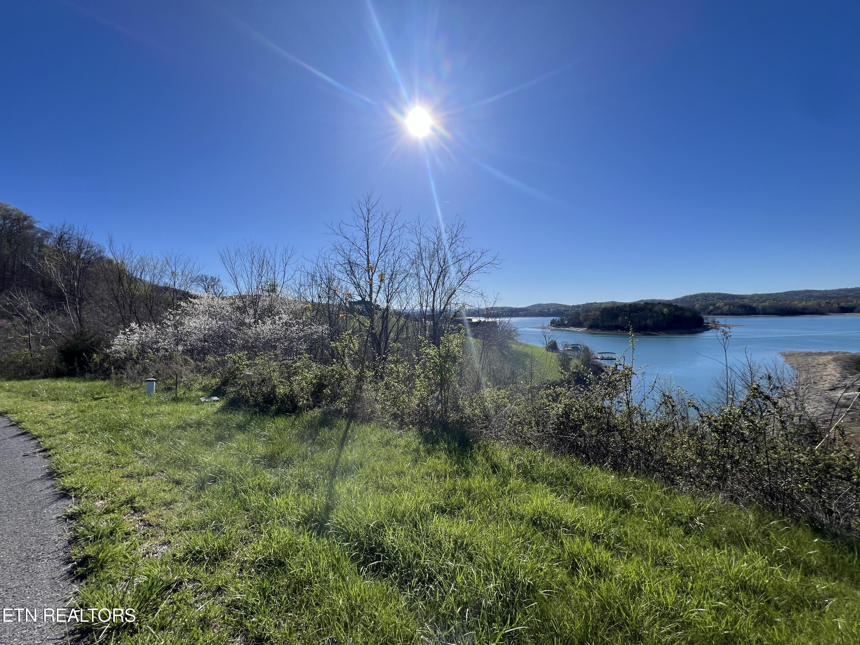 Norris Lake Real Estate - Image# 4