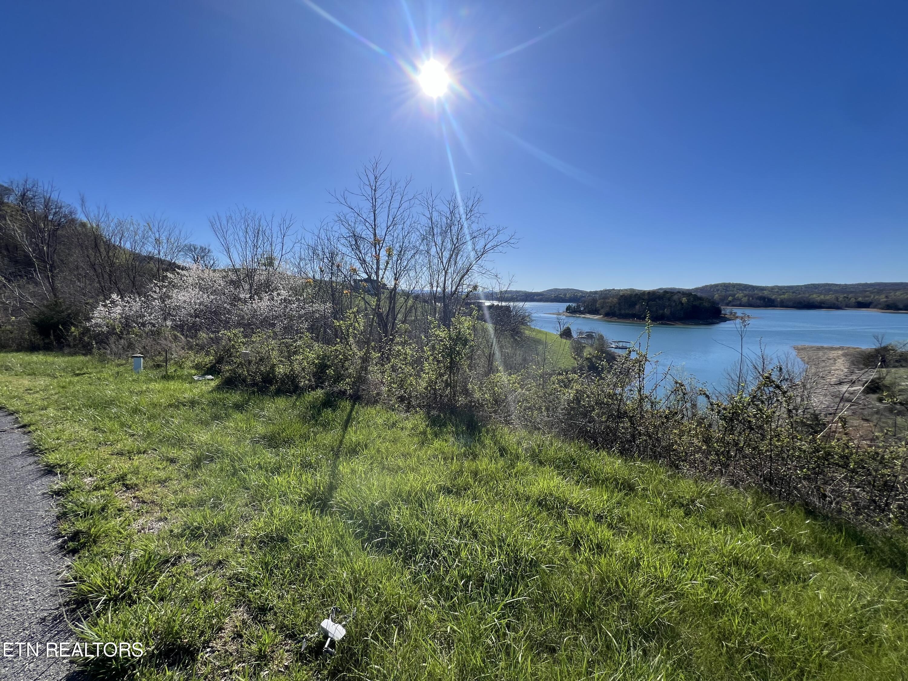 Norris Lake Real Estate - Image# 1