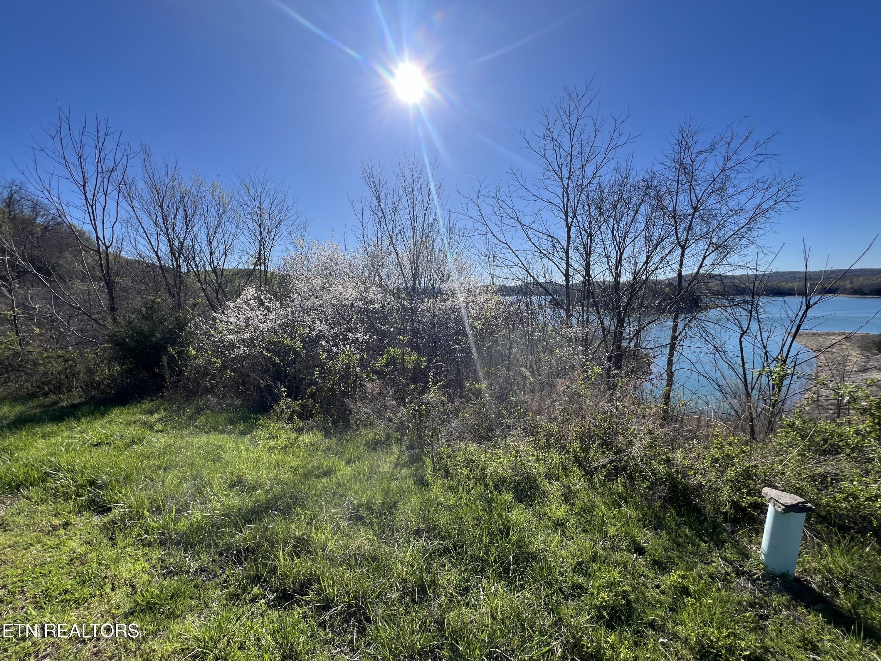 Norris Lake Real Estate - Image# 12