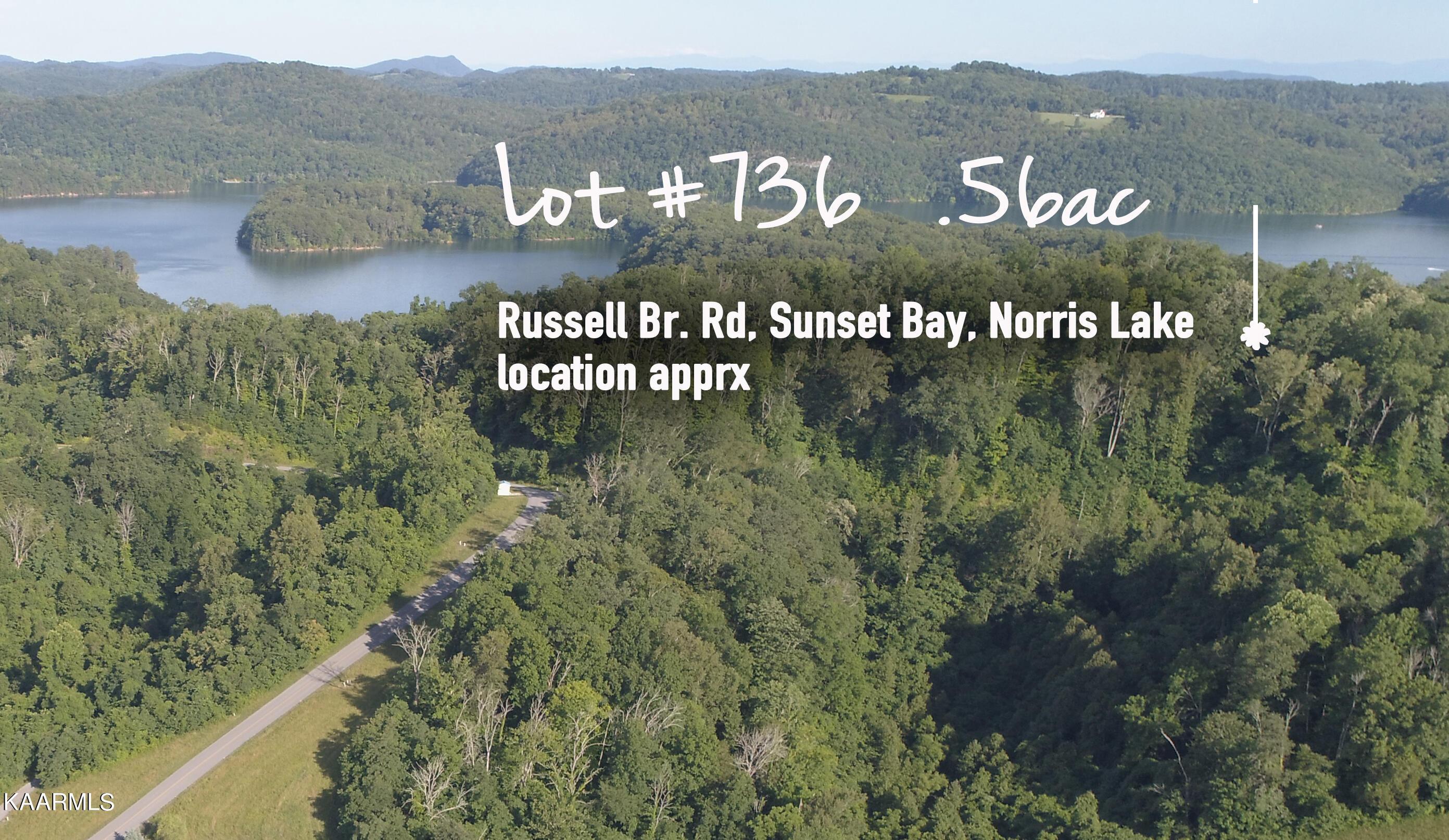 Norris Lake Real Estate - Image# 7