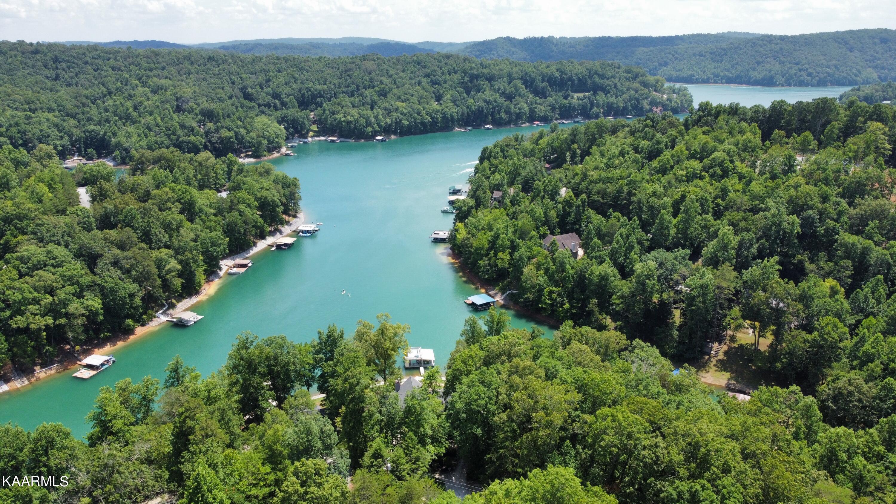 Norris Lake Real Estate - Image# 3