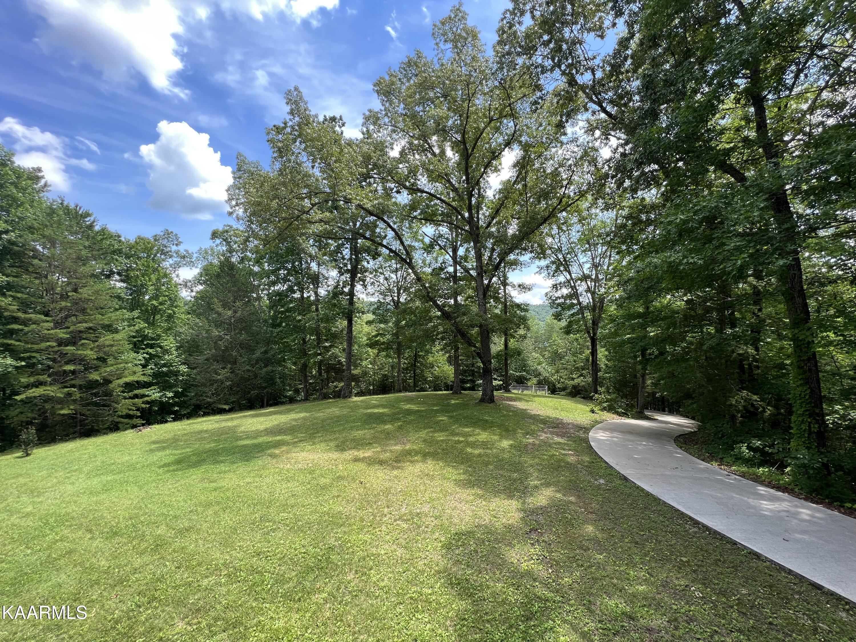 Norris Lake Real Estate - Image# 50