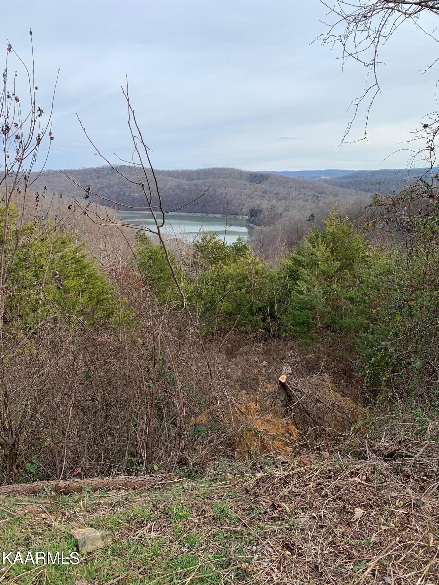 Norris Lake Real Estate - Image# 1