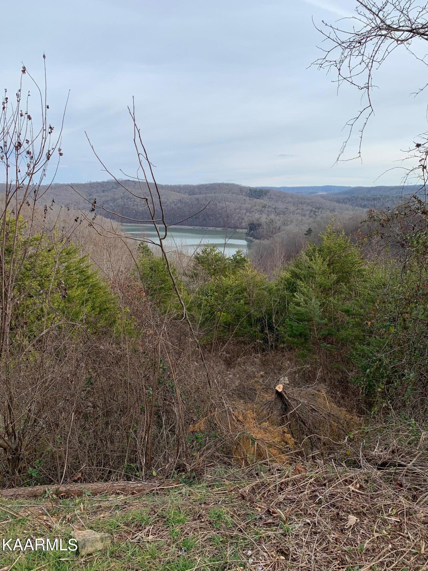 Norris Lake Real Estate - Image# 10