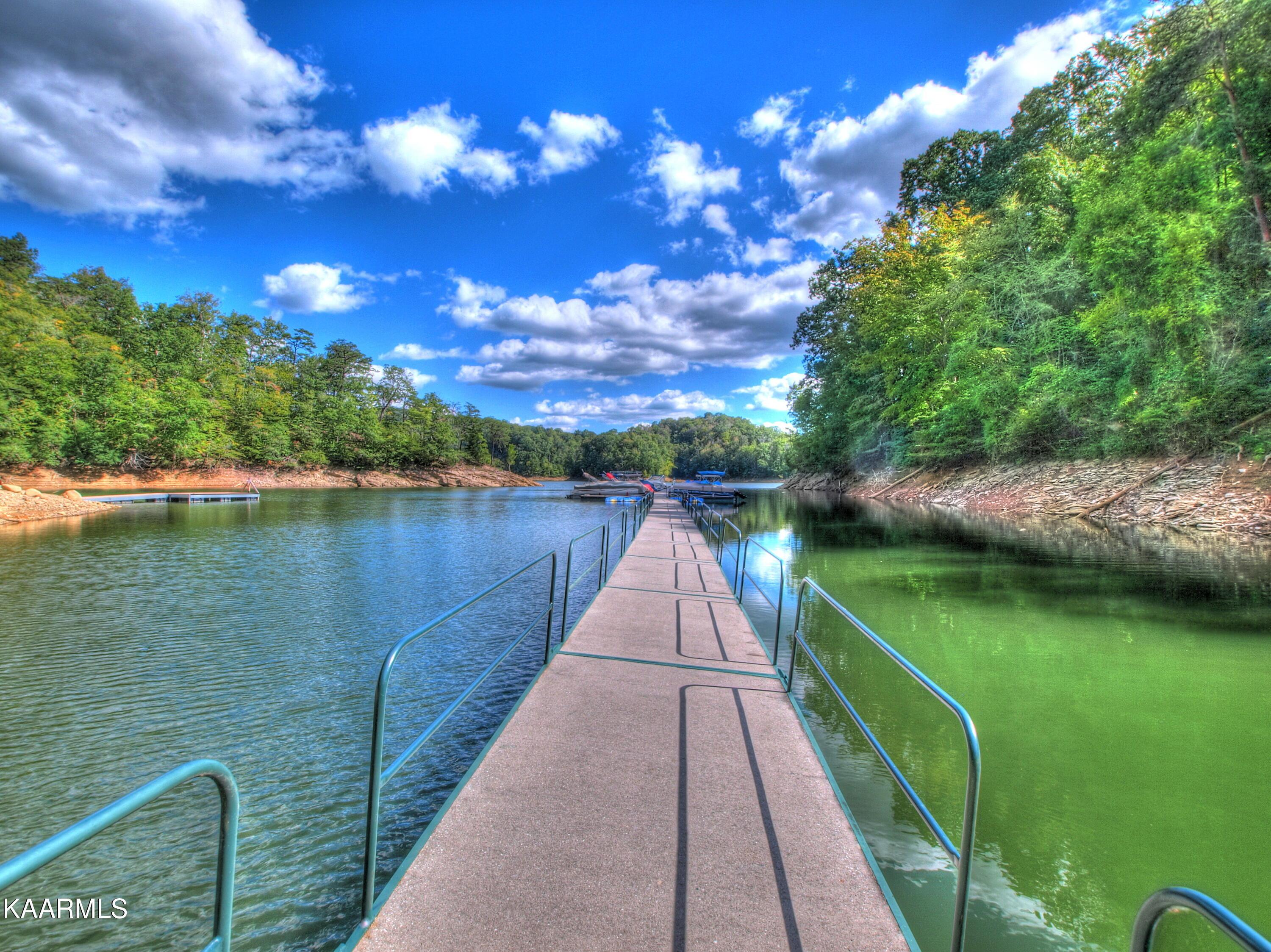 Norris Lake Real Estate - Image# 49