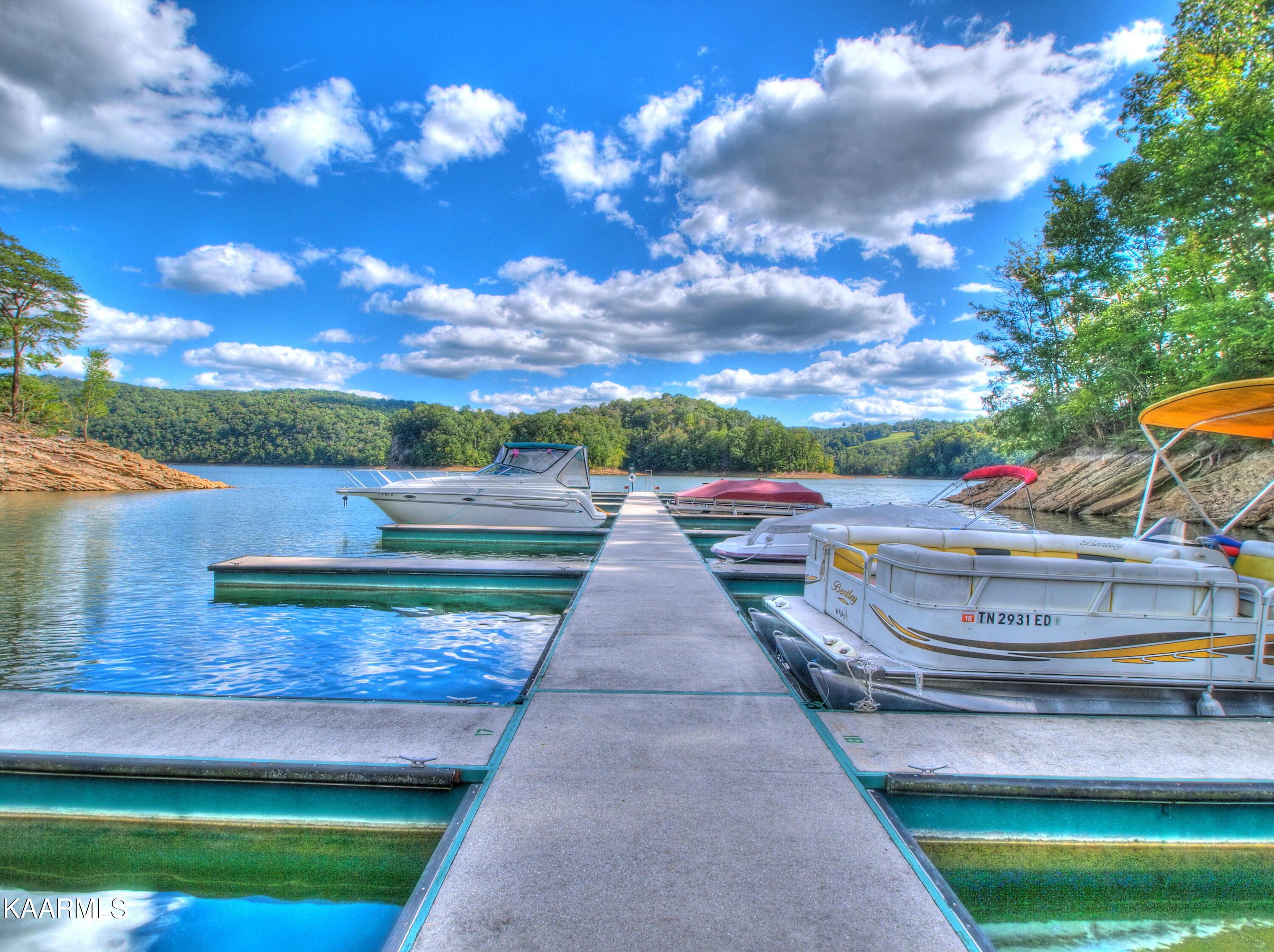 Norris Lake Real Estate - Image# 54