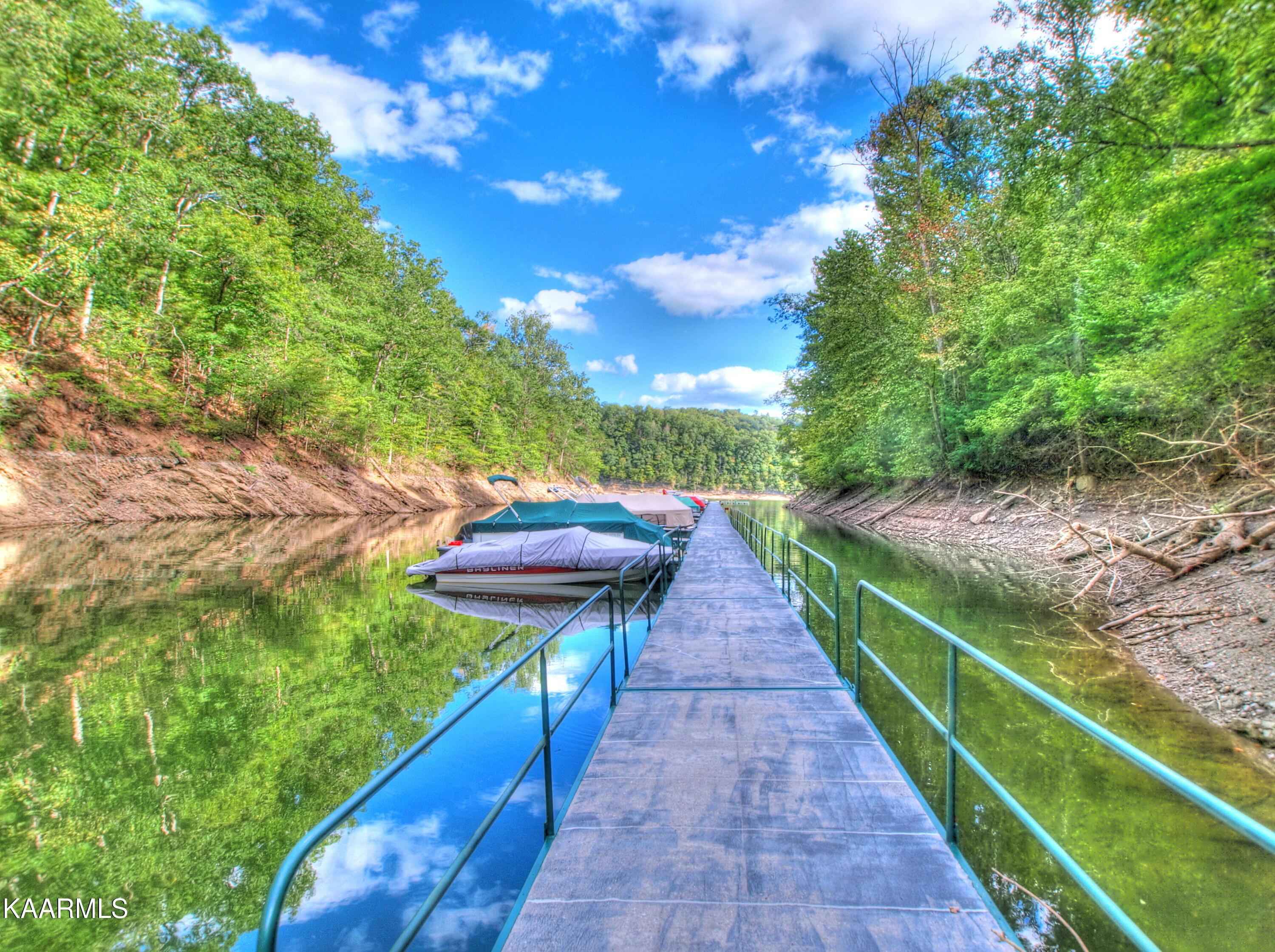 Norris Lake Real Estate - Image# 75