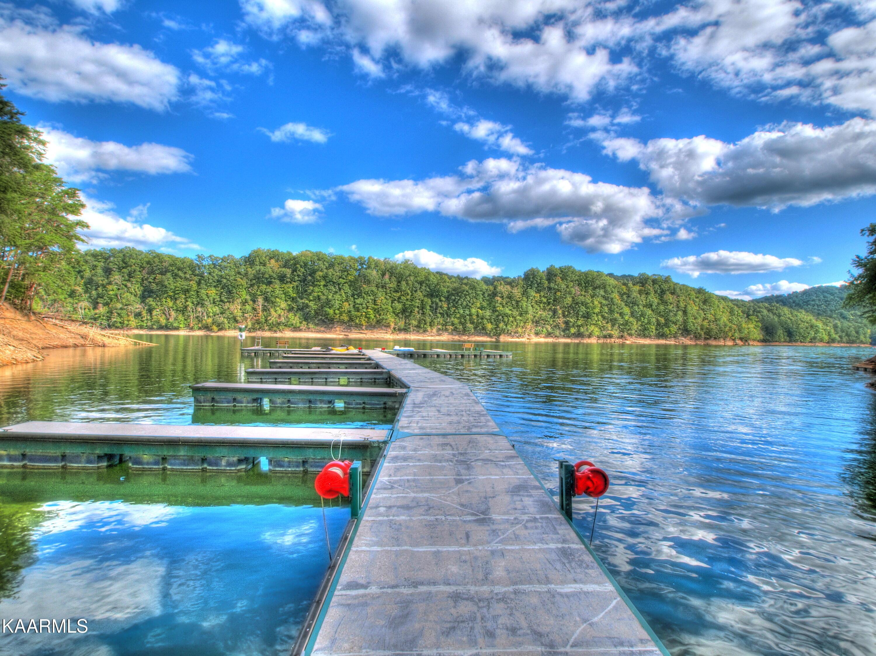 Norris Lake Real Estate - Image# 78