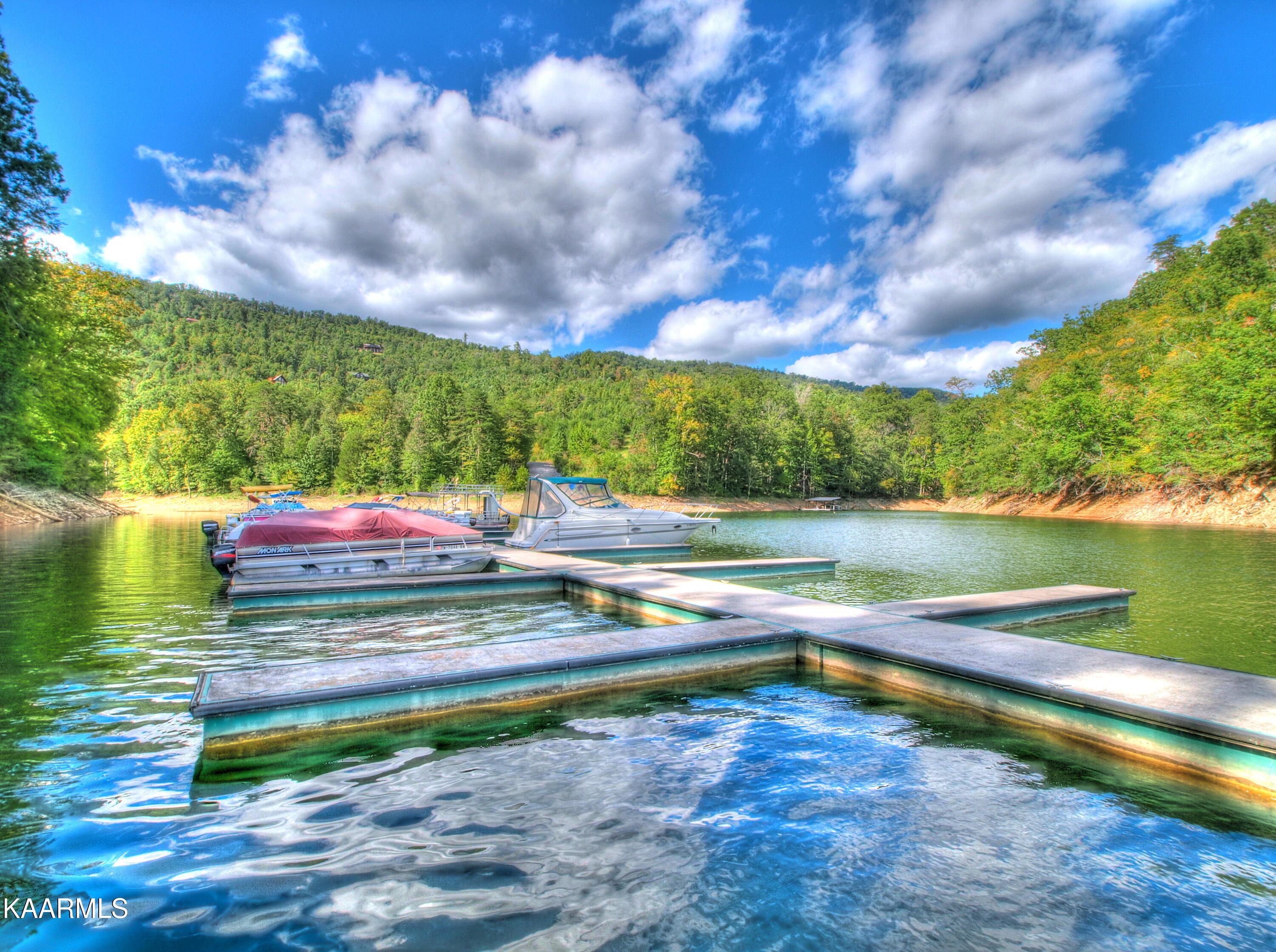 Norris Lake Real Estate - Image# 81