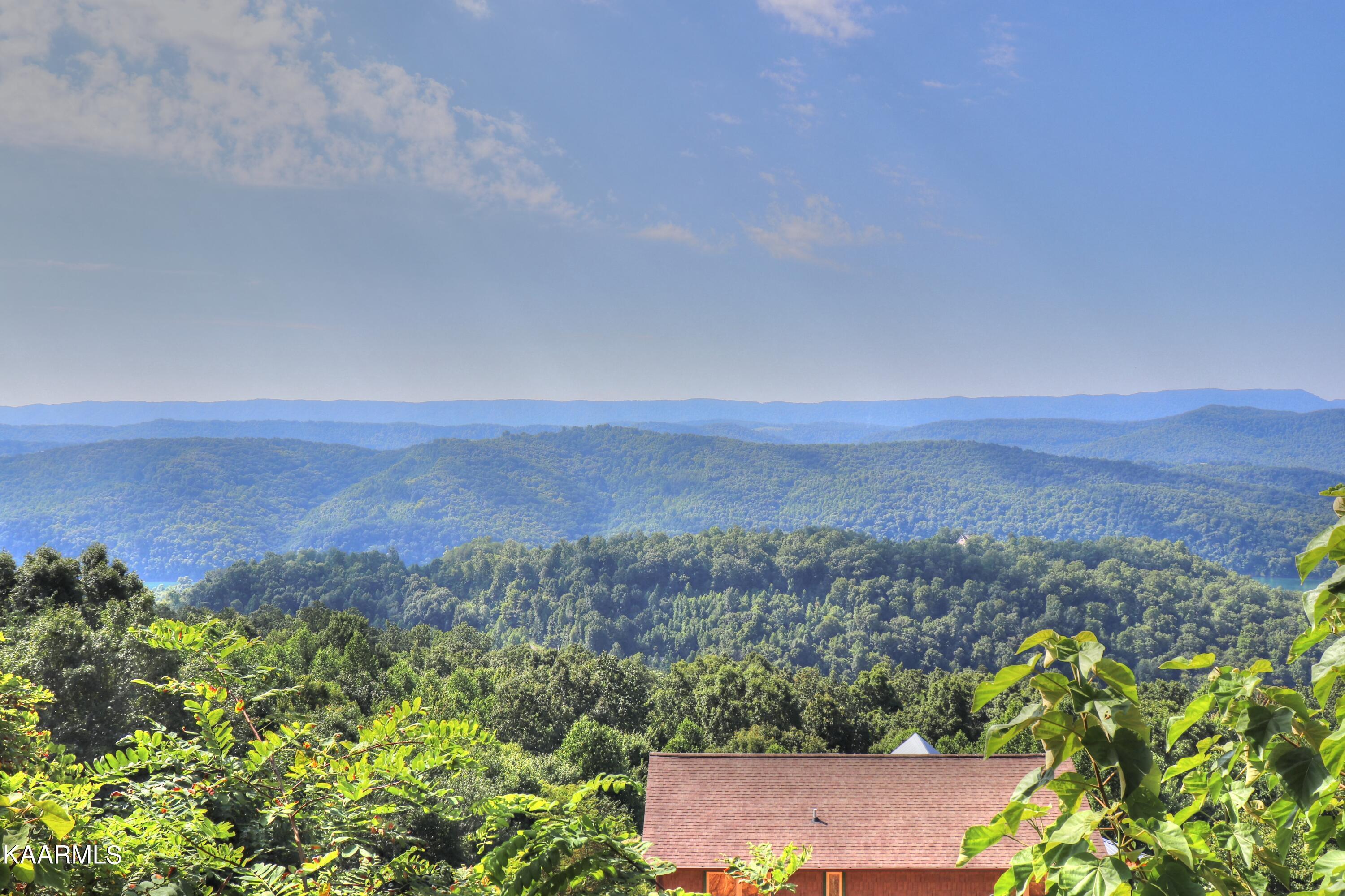 Norris Lake Real Estate - Image# 14