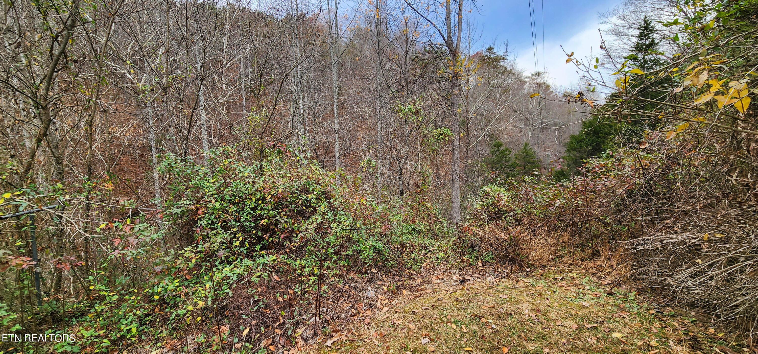 Norris Lake Real Estate - Image# 12