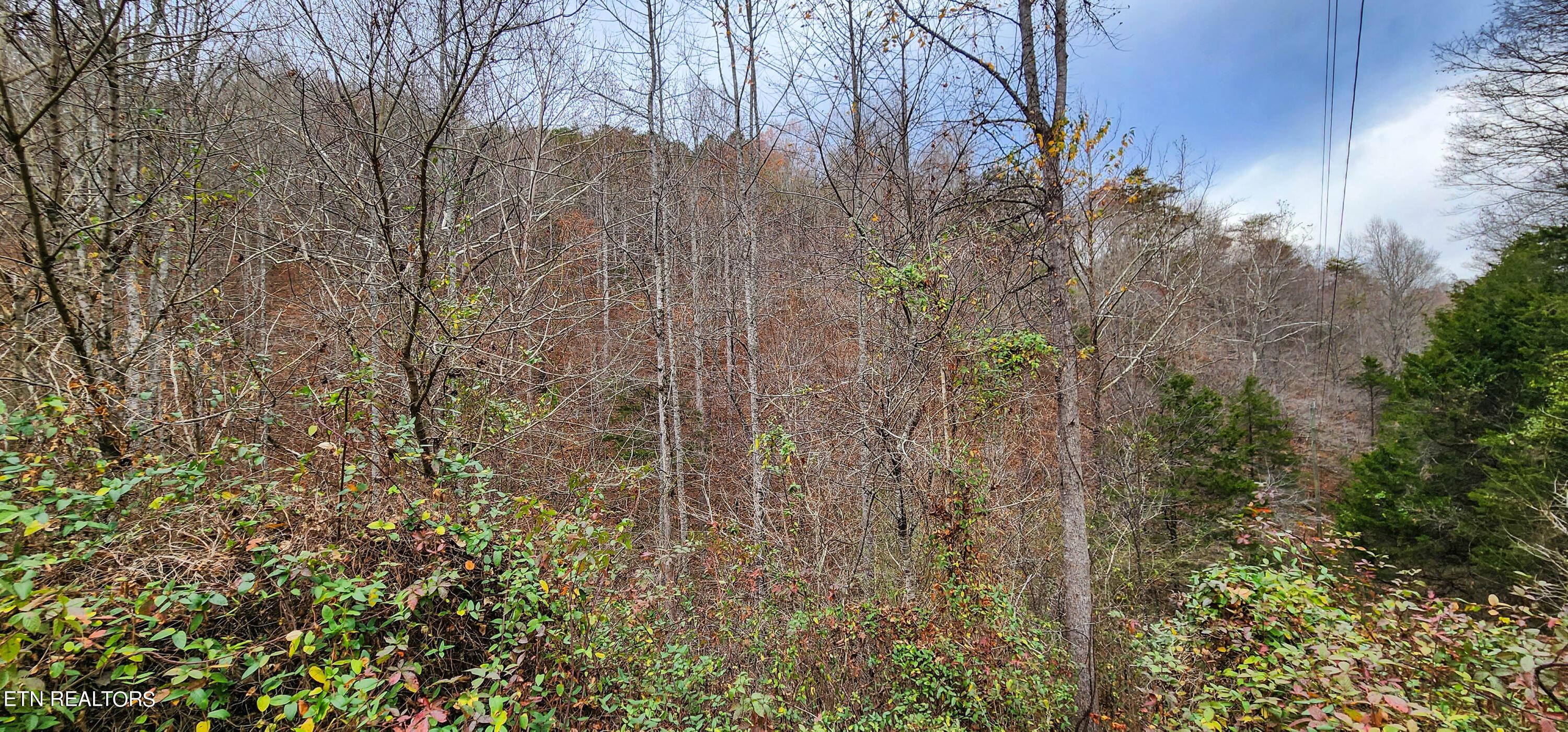 Norris Lake Real Estate - Image# 10