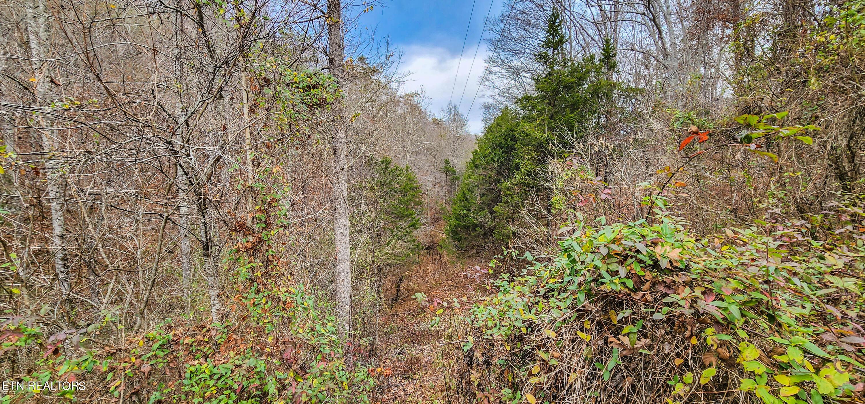 Norris Lake Real Estate - Image# 21