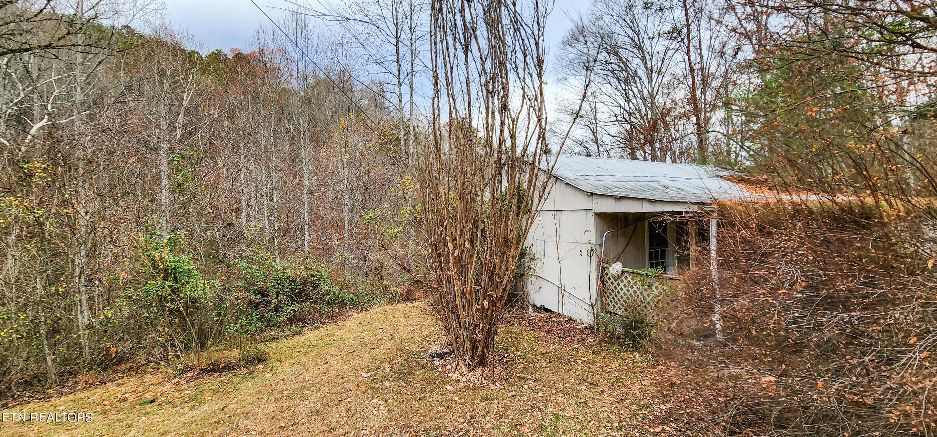 Norris Lake Real Estate - Image# 19