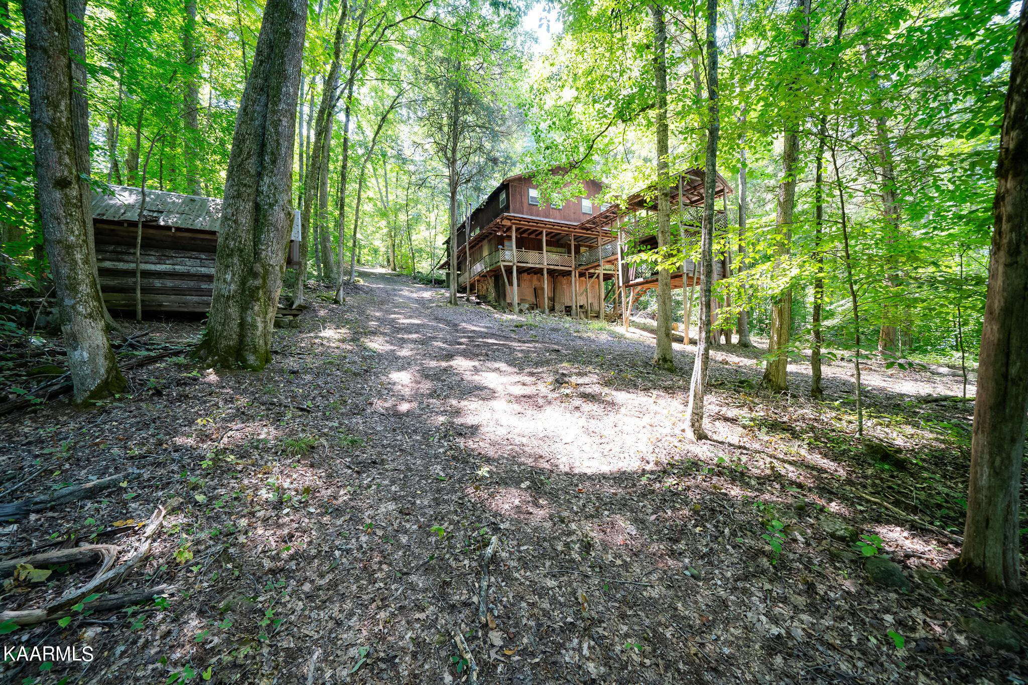 Norris Lake Real Estate - Image# 2