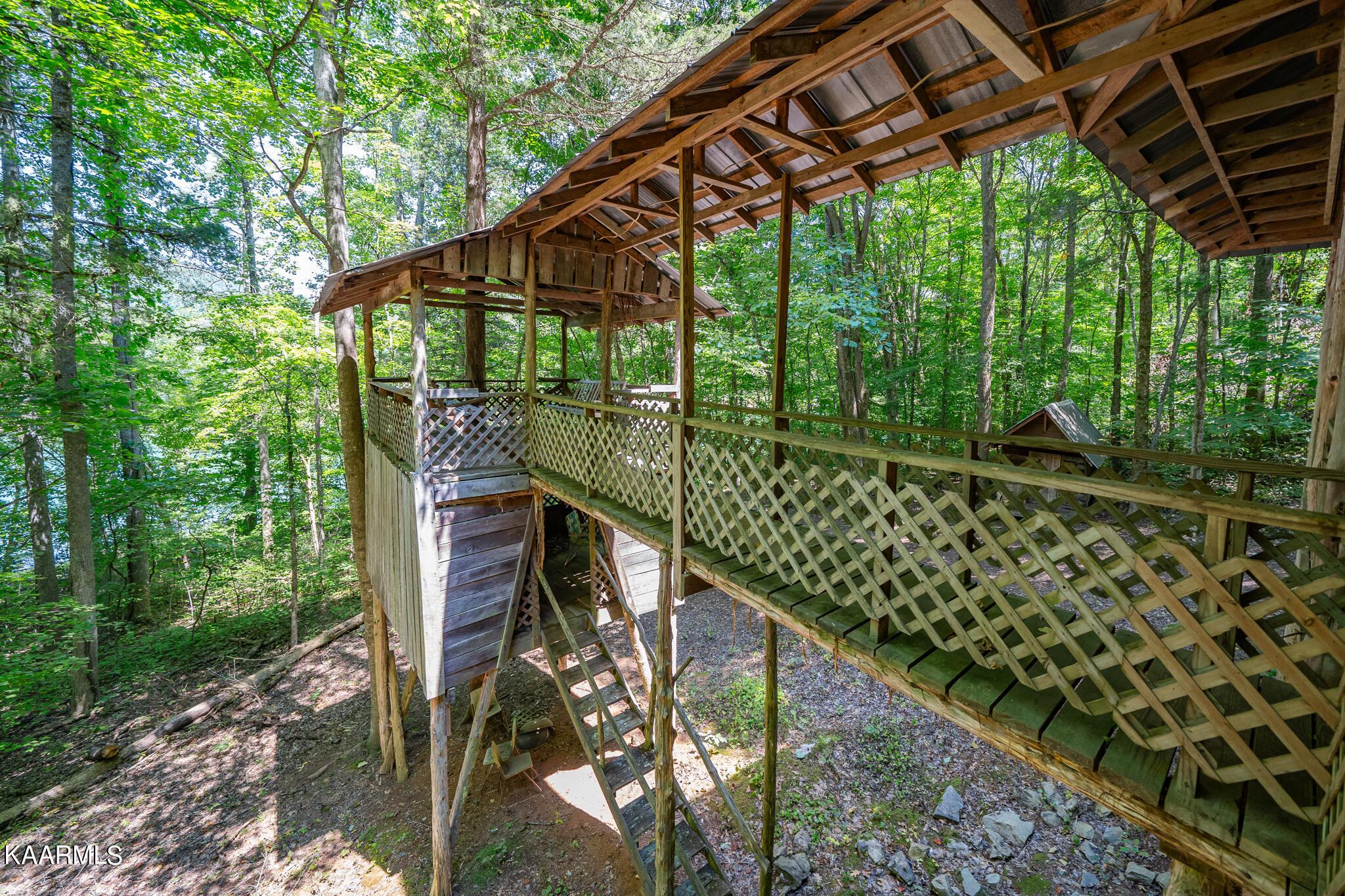 Norris Lake Real Estate - Image# 5