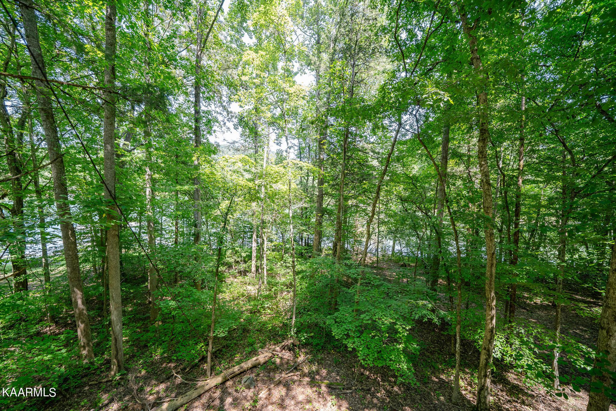 Norris Lake Real Estate - Image# 12