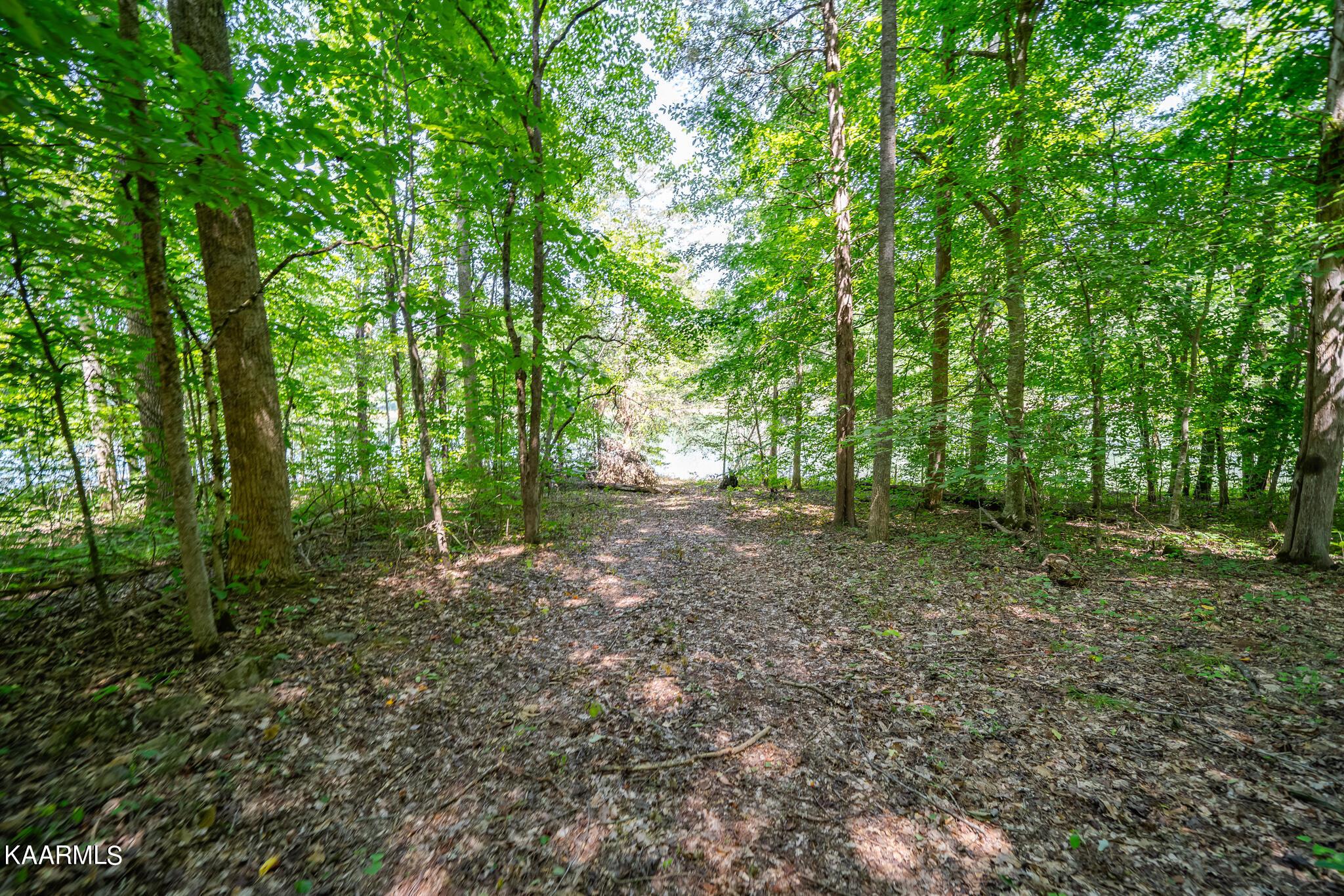 Norris Lake Real Estate - Image# 63