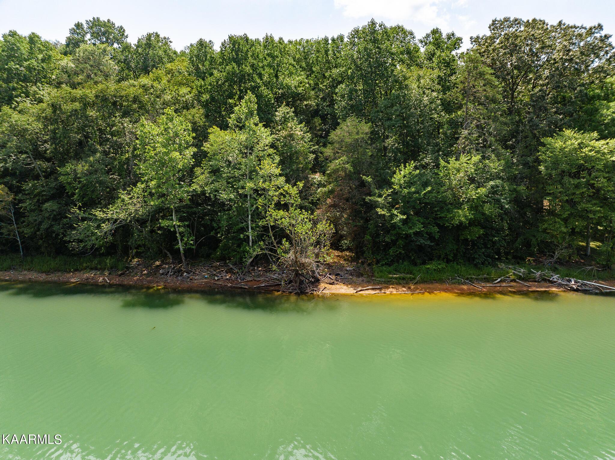 Norris Lake Real Estate - Image# 66