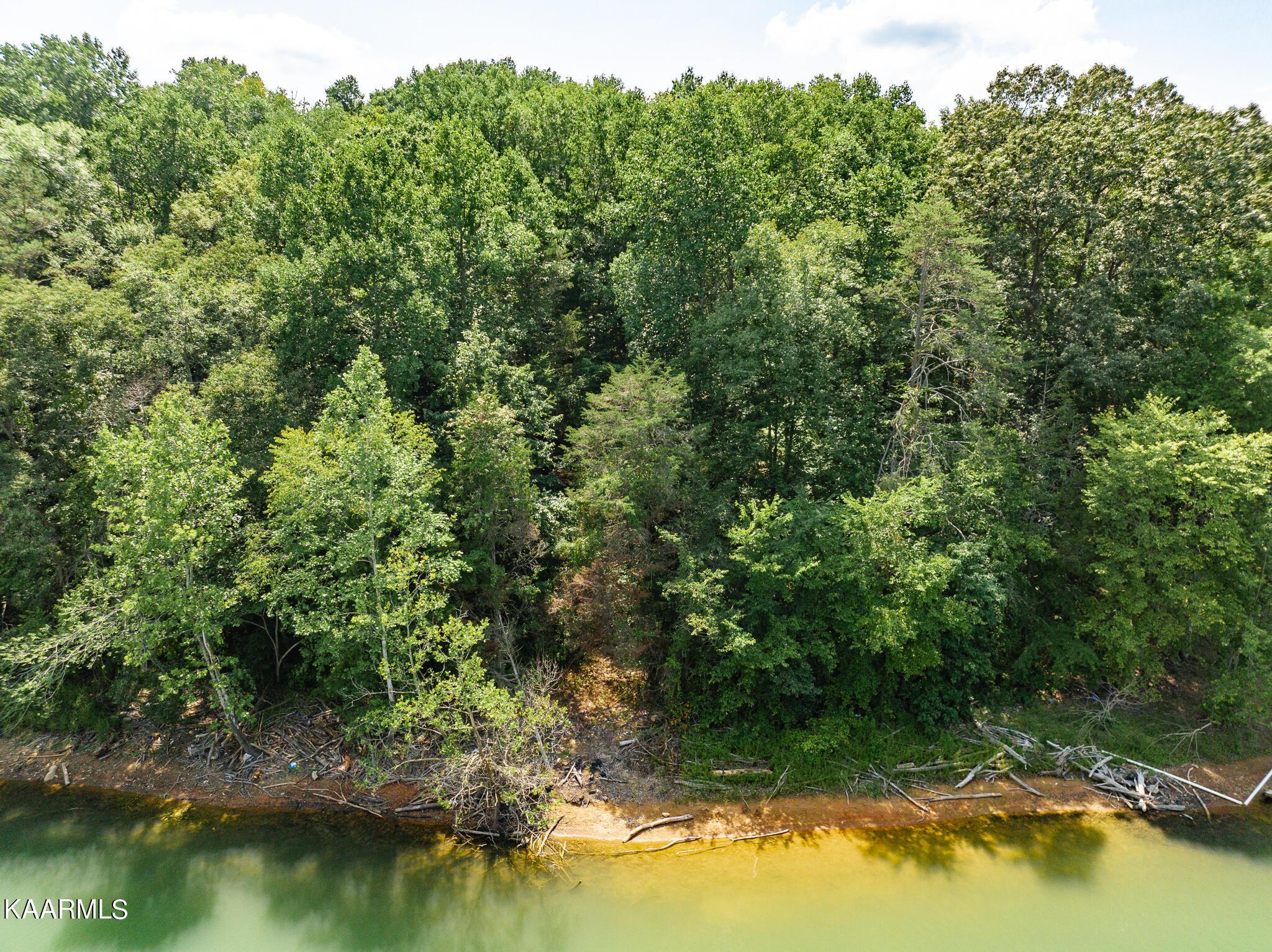 Norris Lake Real Estate - Image# 69