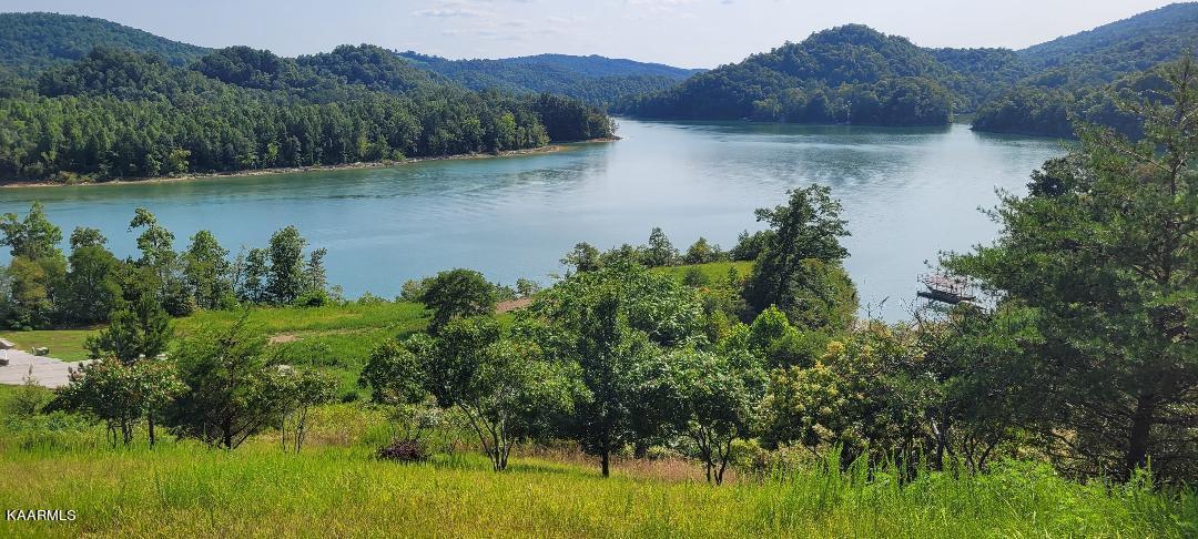 Norris Lake Real Estate - Image# 1