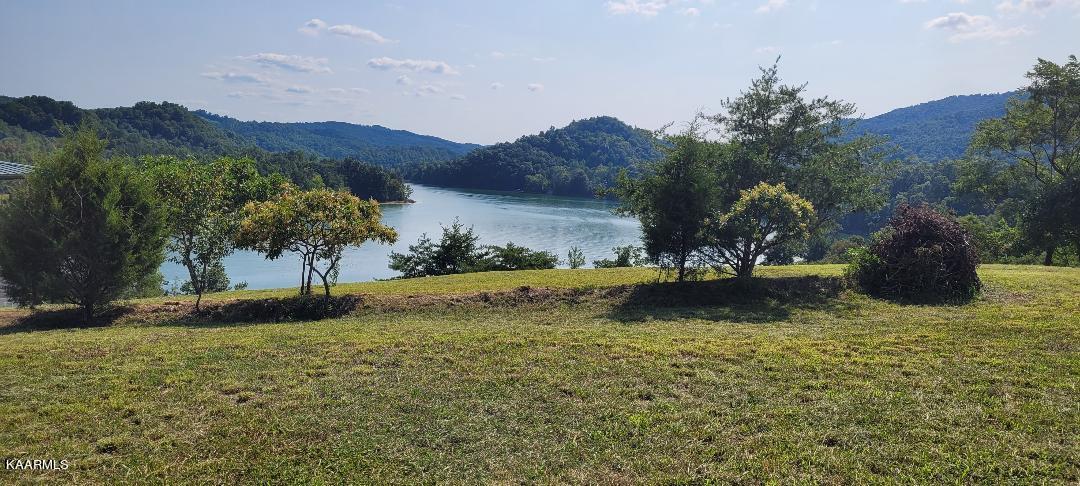 Norris Lake Real Estate - Image# 5