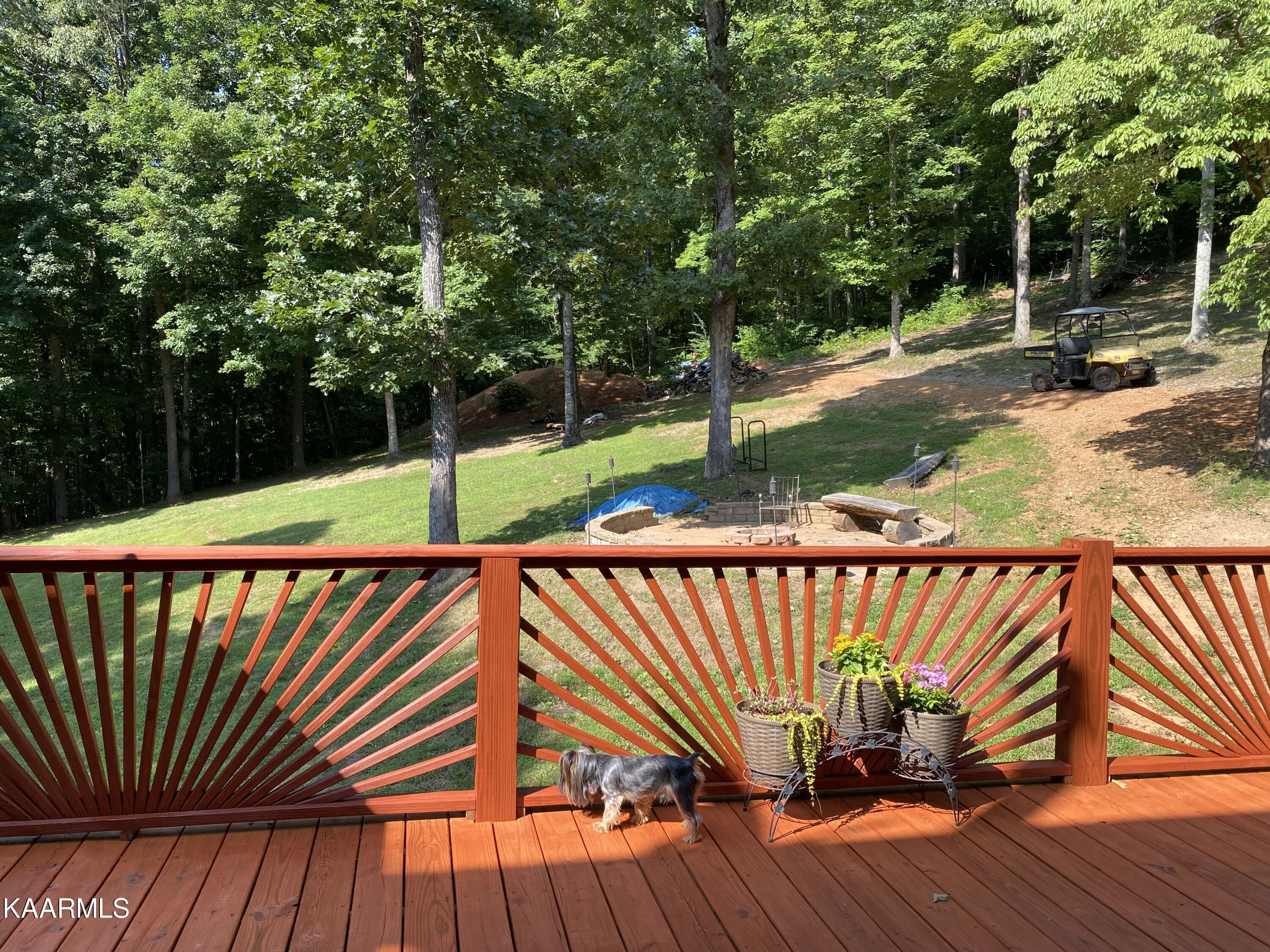 Norris Lake Real Estate - Image# 98