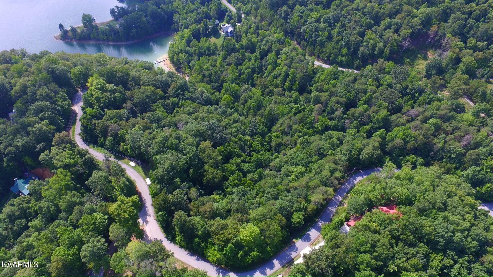 Norris Lake Real Estate - Image# 6