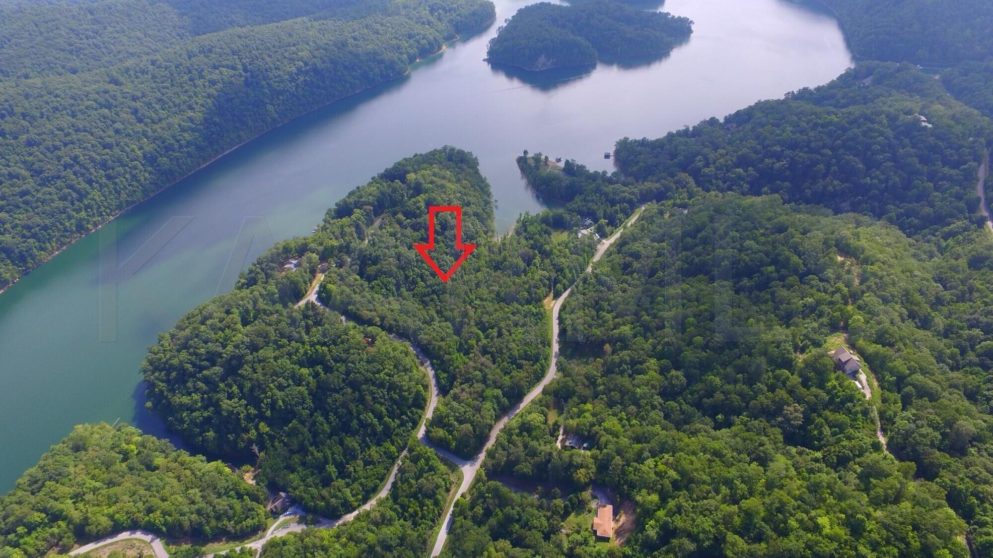 Norris Lake Real Estate - Image# 2