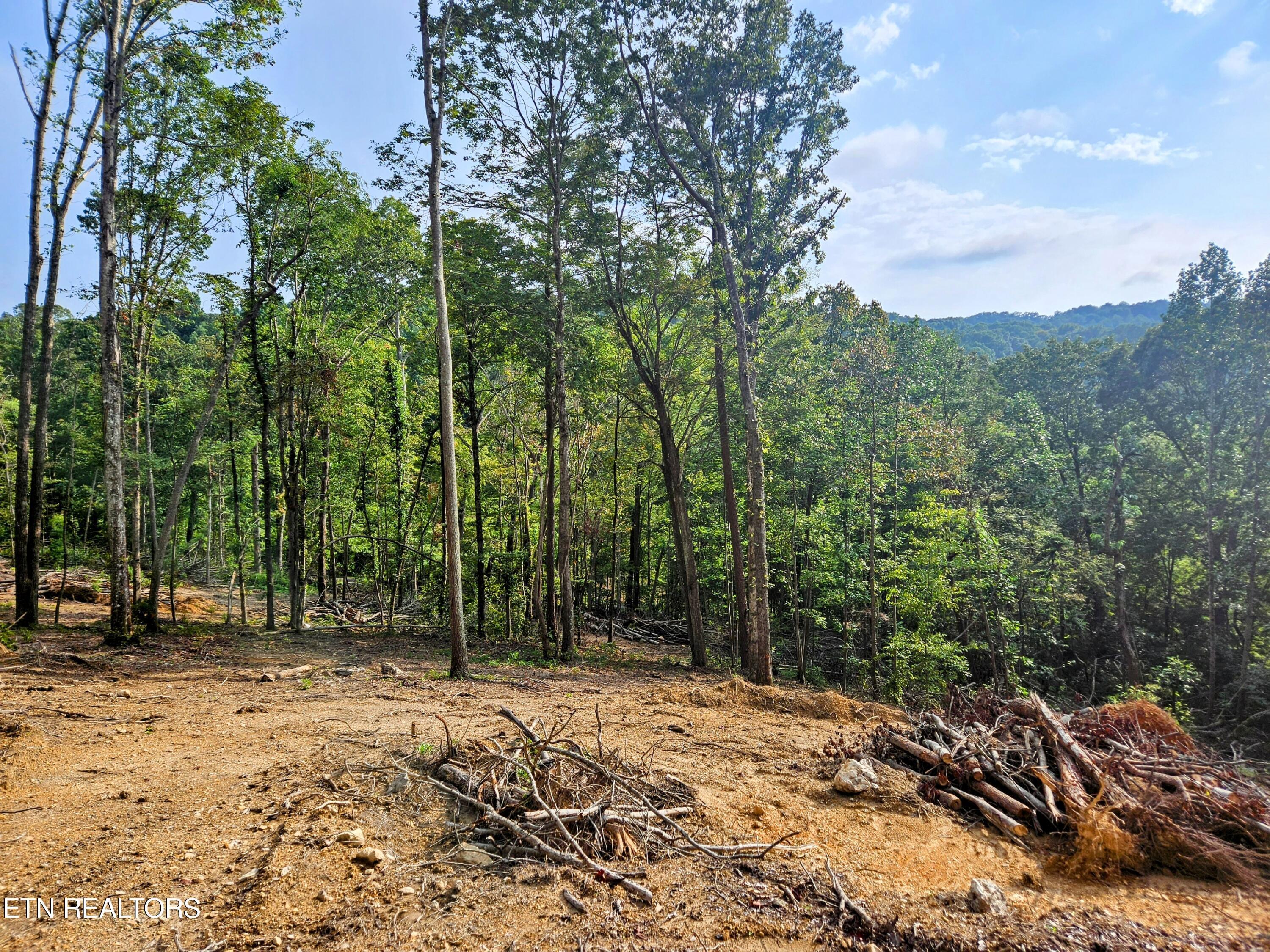 Norris Lake Real Estate - Image# 4