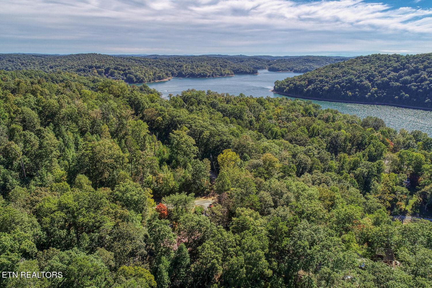 Norris Lake Real Estate - Image# 51