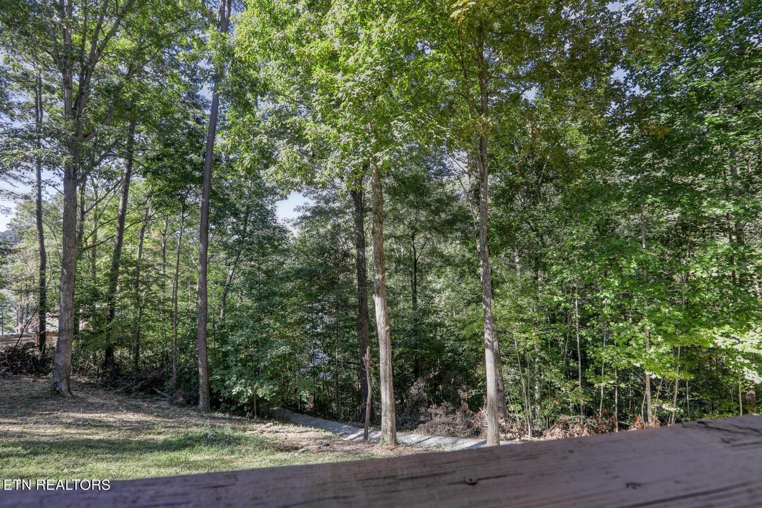 Norris Lake Real Estate - Image# 39